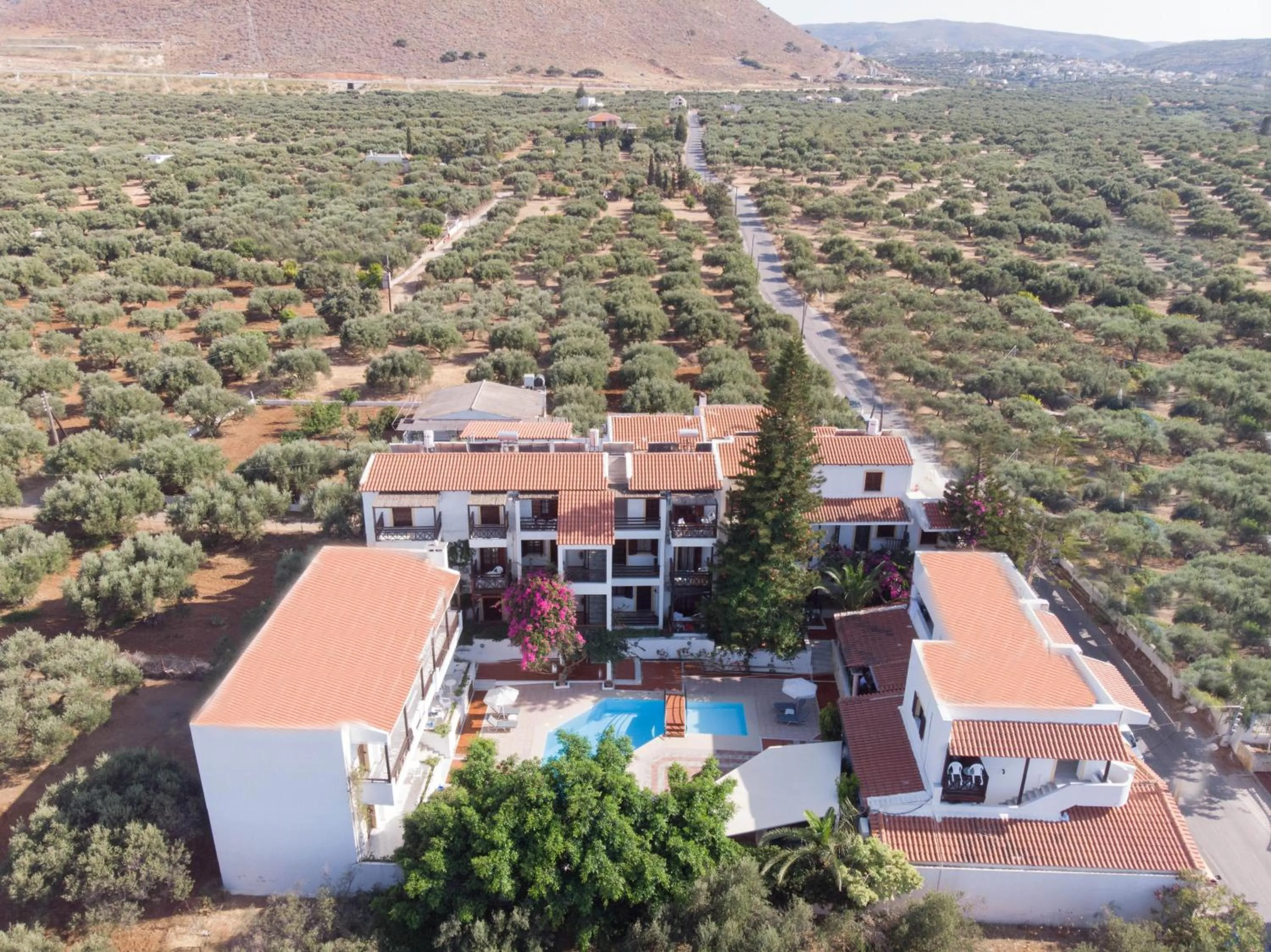 Property building in Rena Apartments