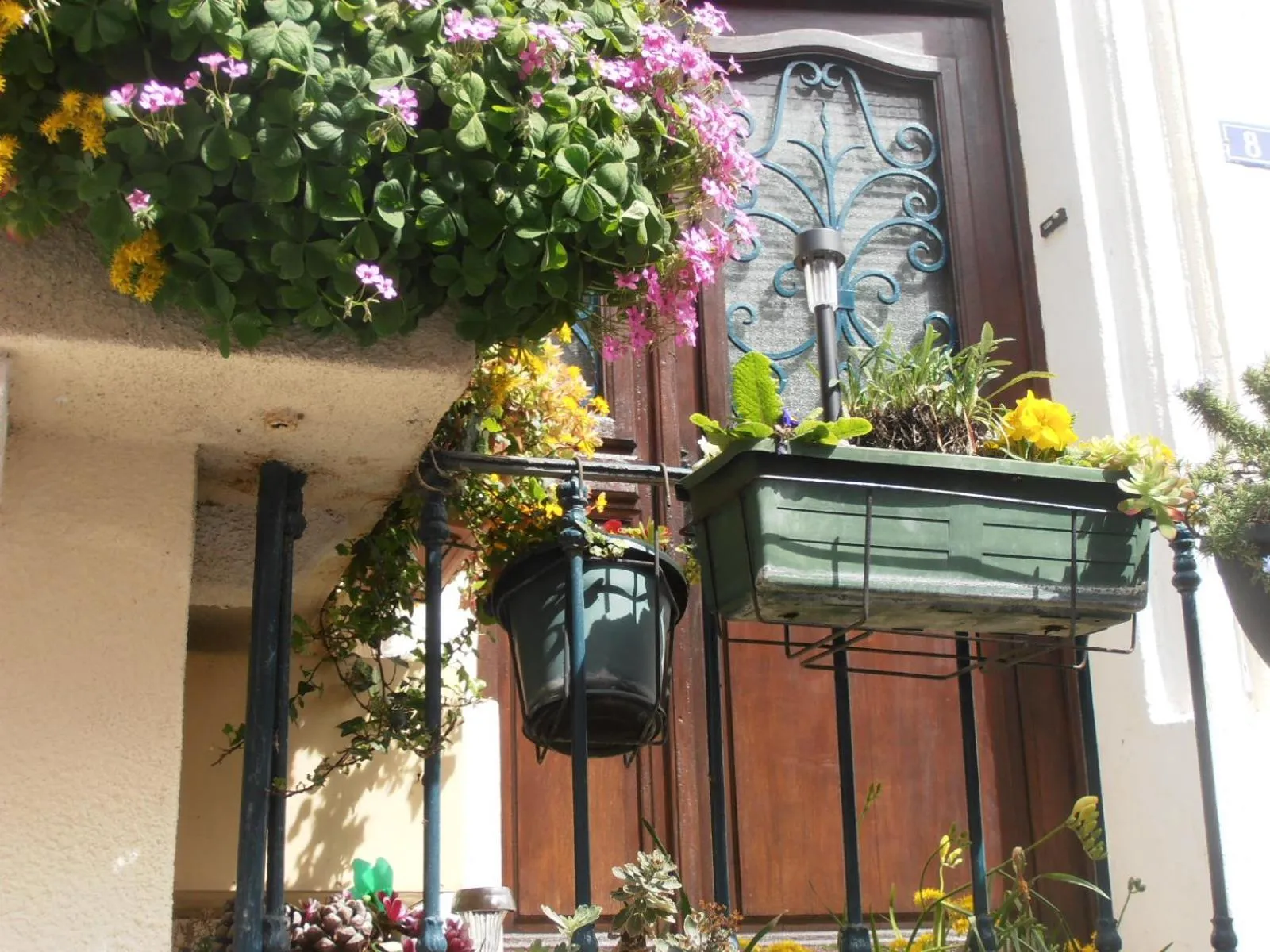 Facade/entrance in L'Orchidée