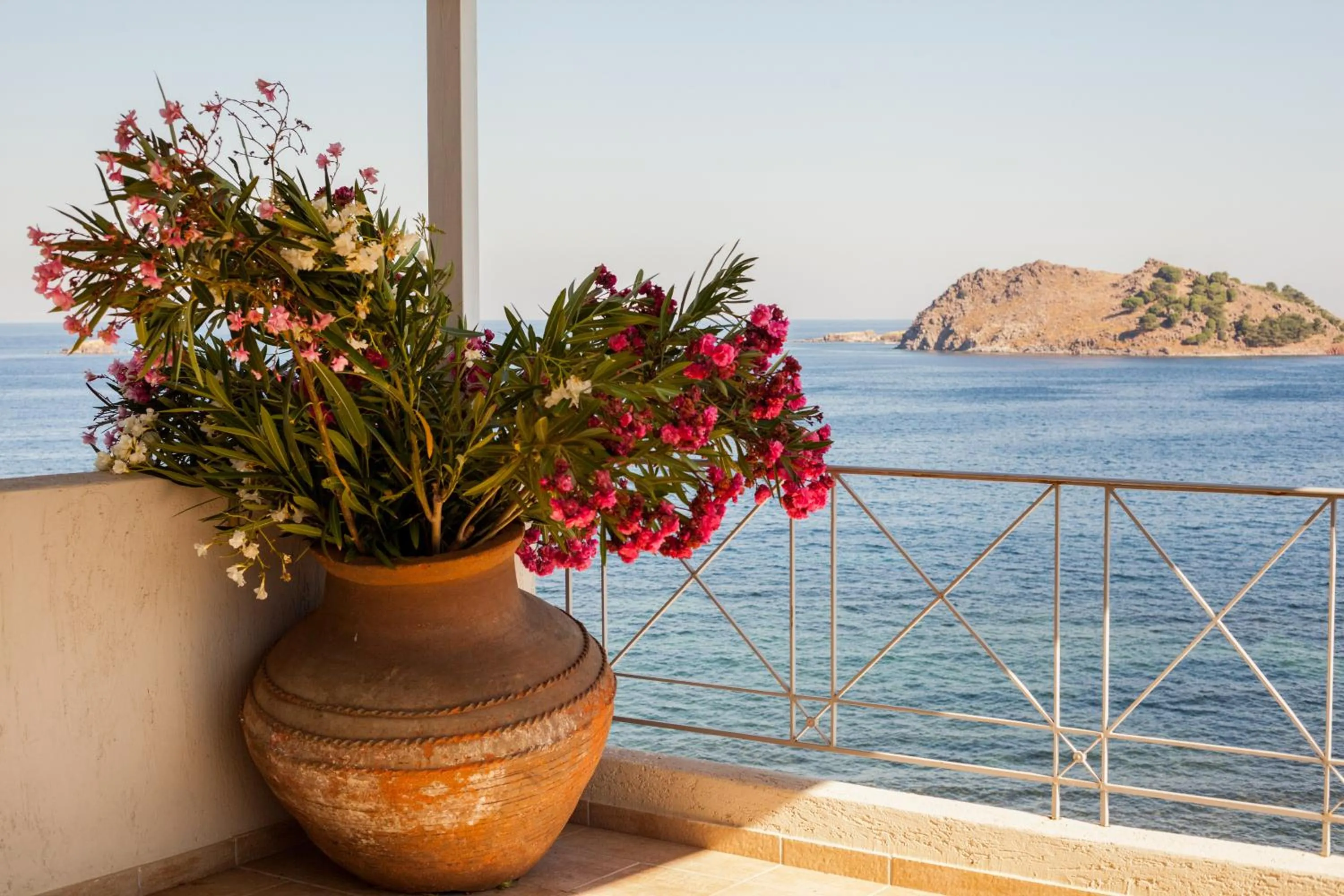 Property building in Little Bird Lesvos