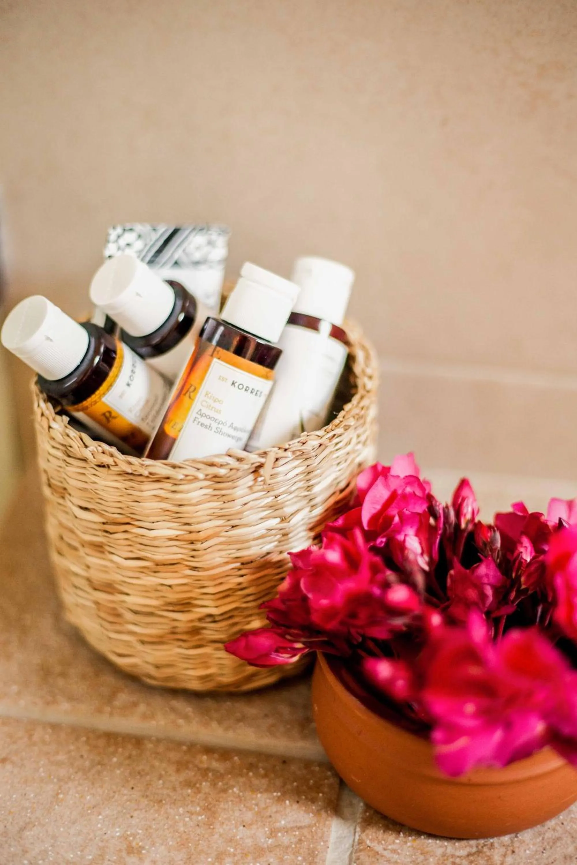 Other in Little Bird Lesvos