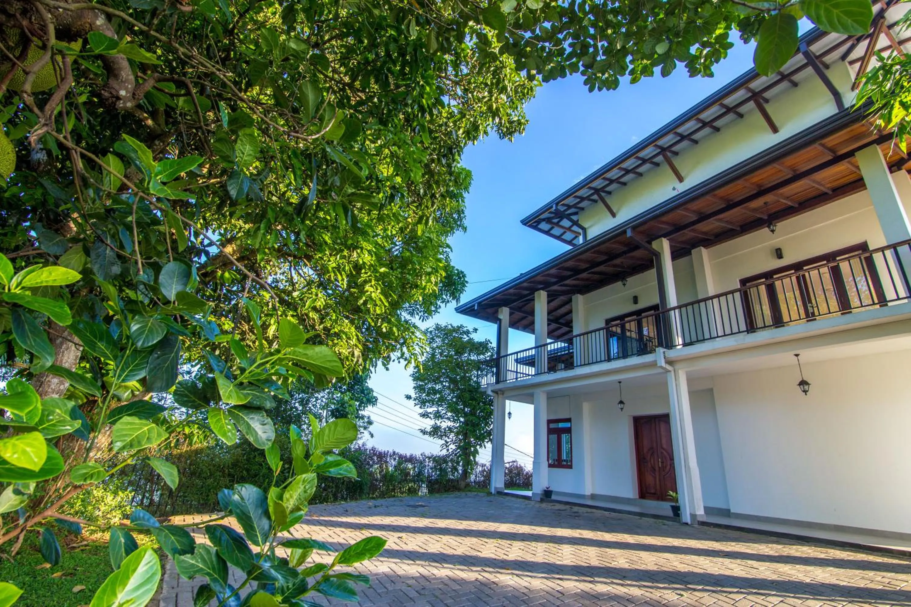 Day in Jack Tree Lodge