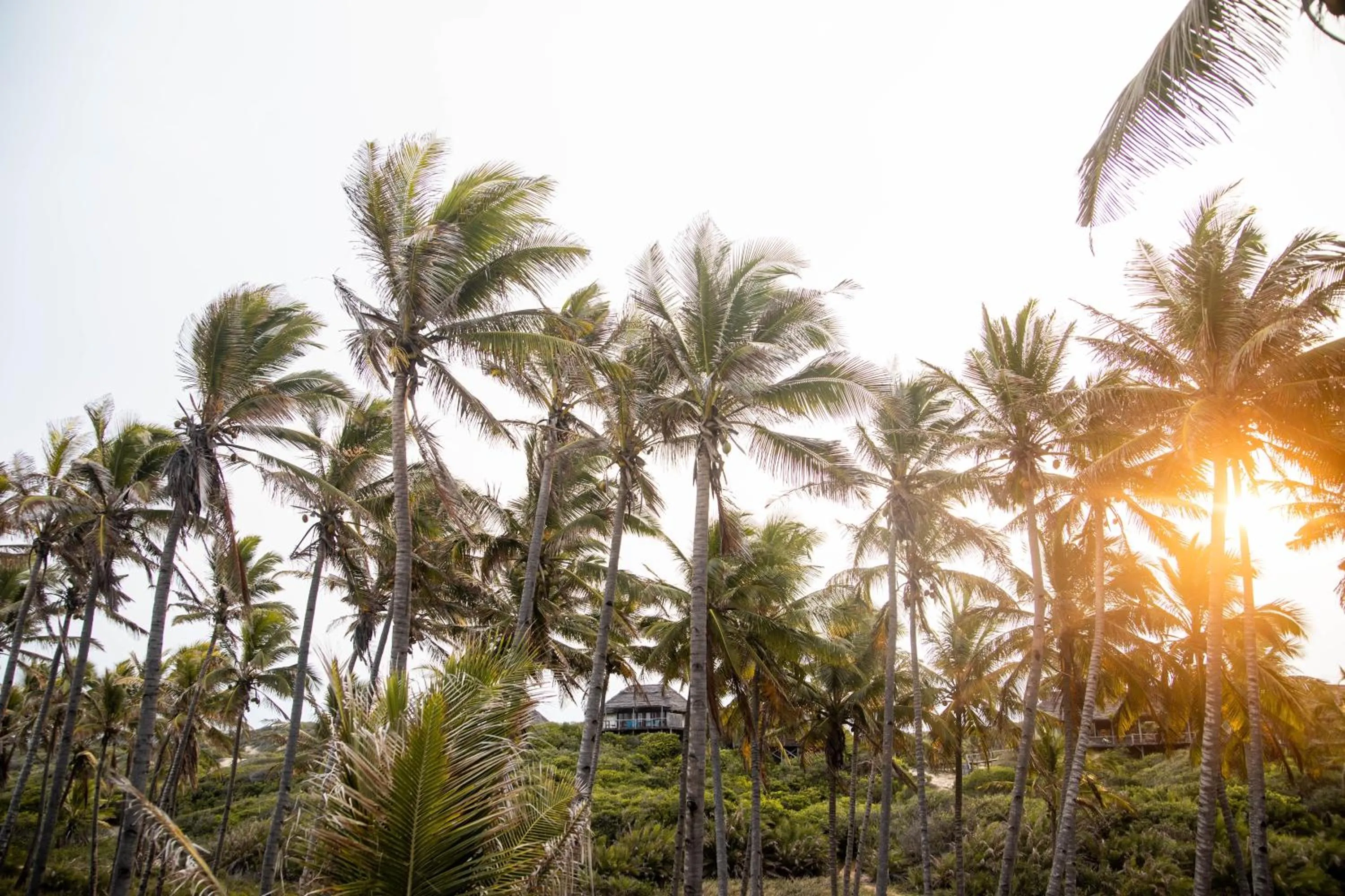 Property building in Travessia Beach Lodge