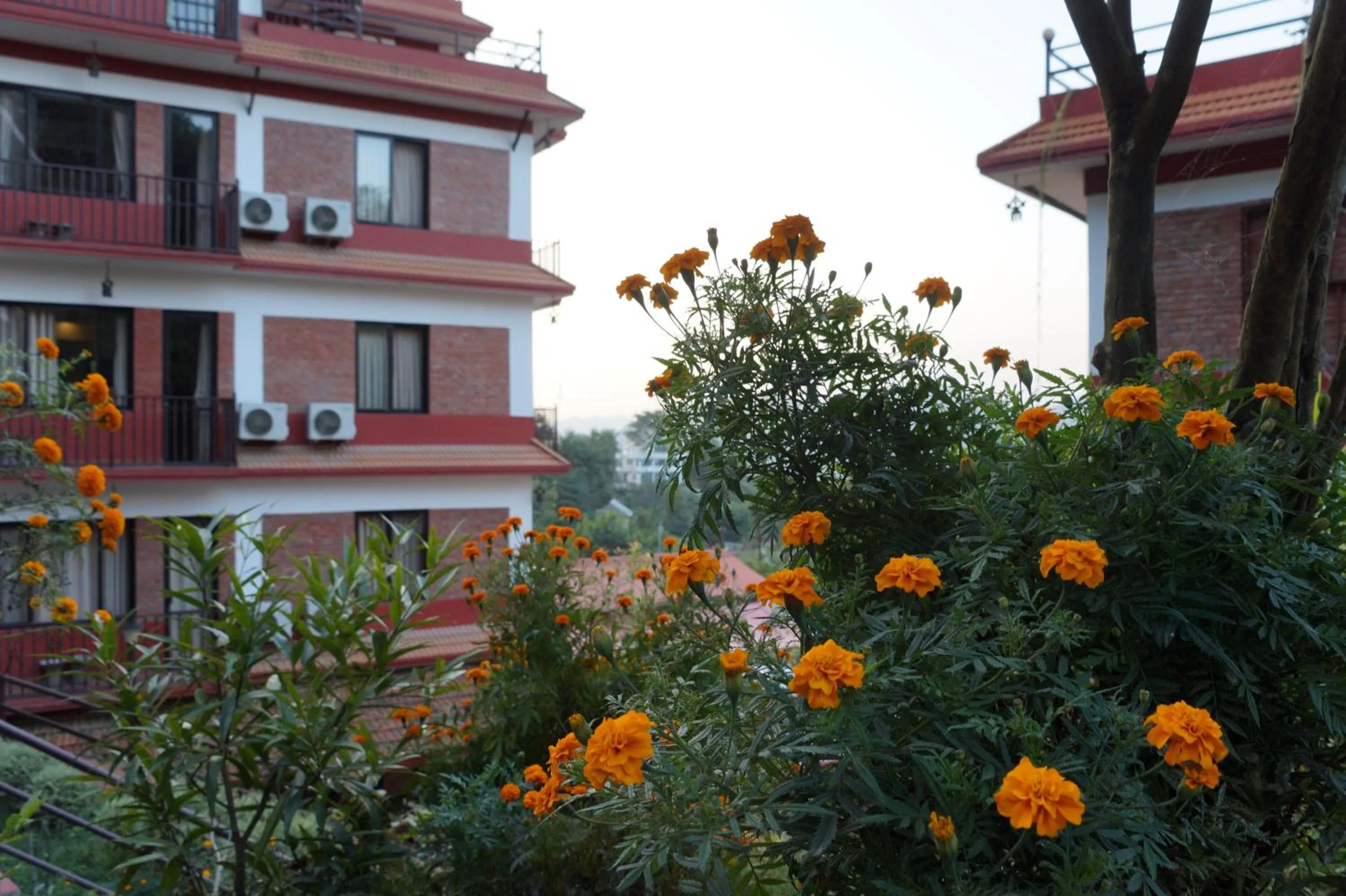 Property building in Gaia Holiday Home