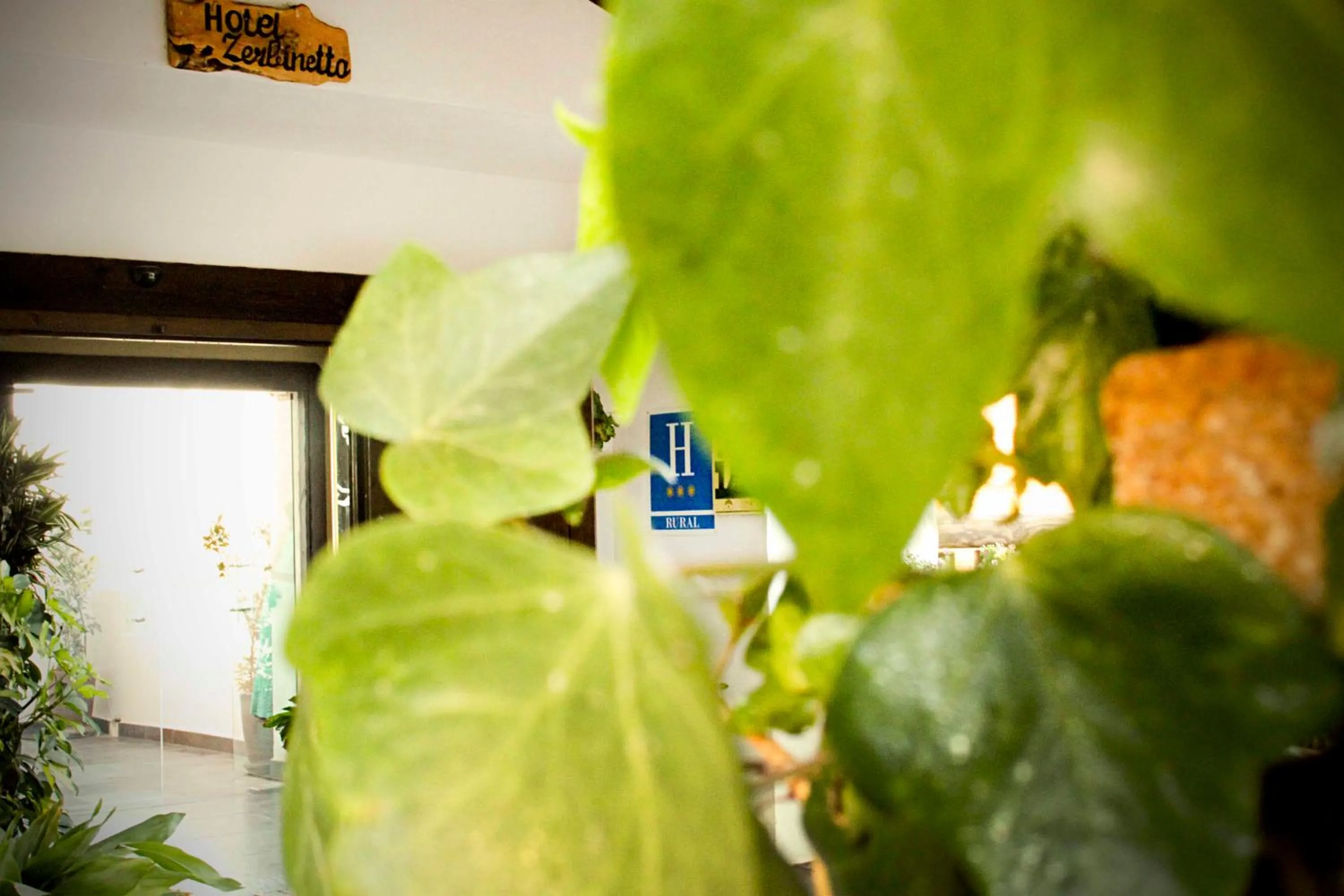 Facade/entrance in Hotel Zerbinetta