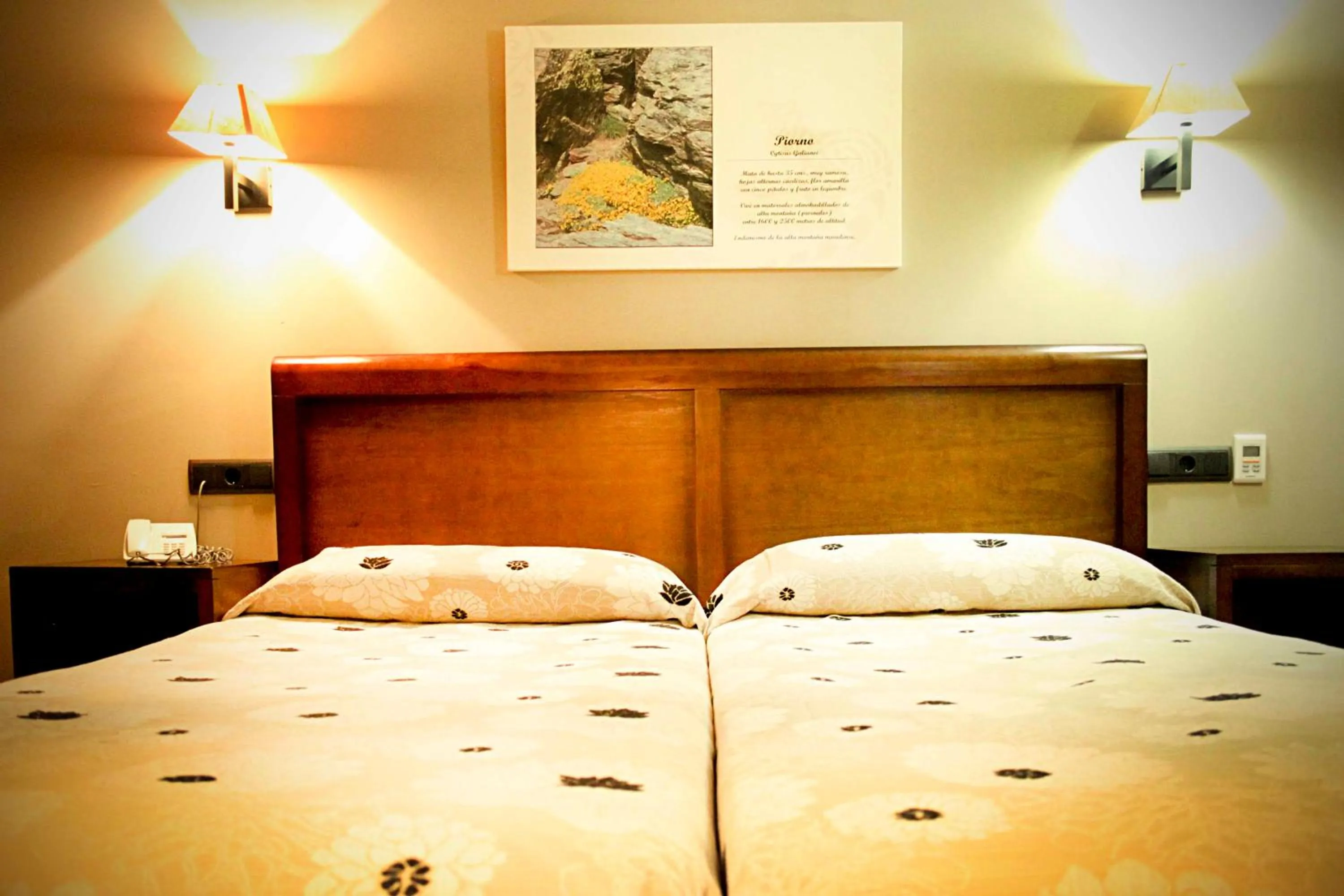 Photo of the whole room, Bed in Hotel Zerbinetta