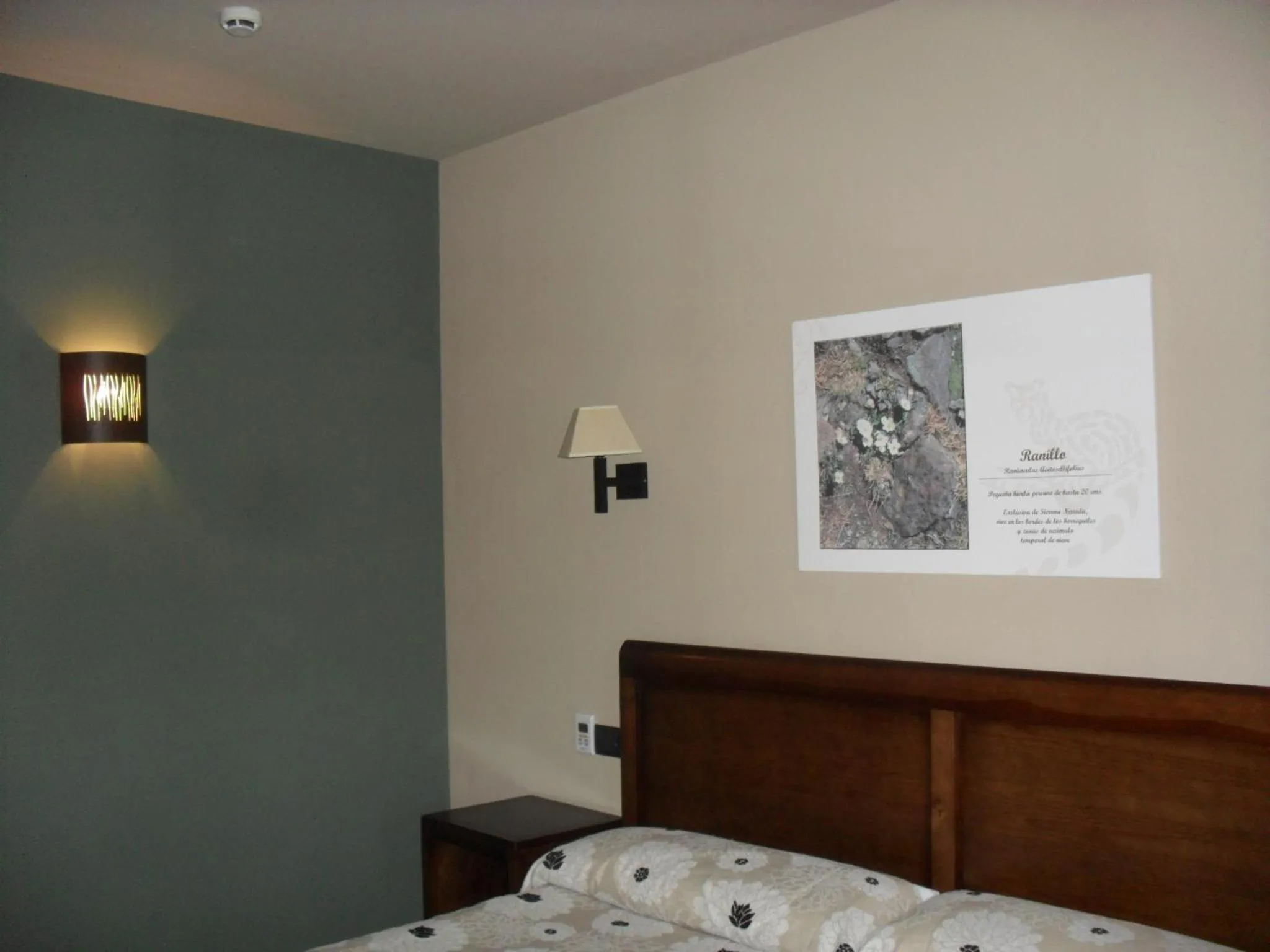 Bed in Hotel Zerbinetta