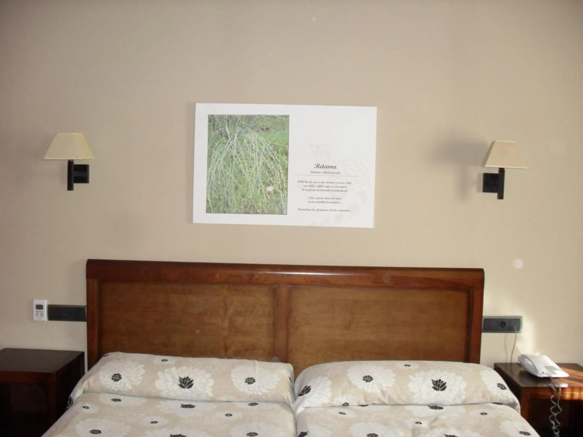 Bed in Hotel Zerbinetta