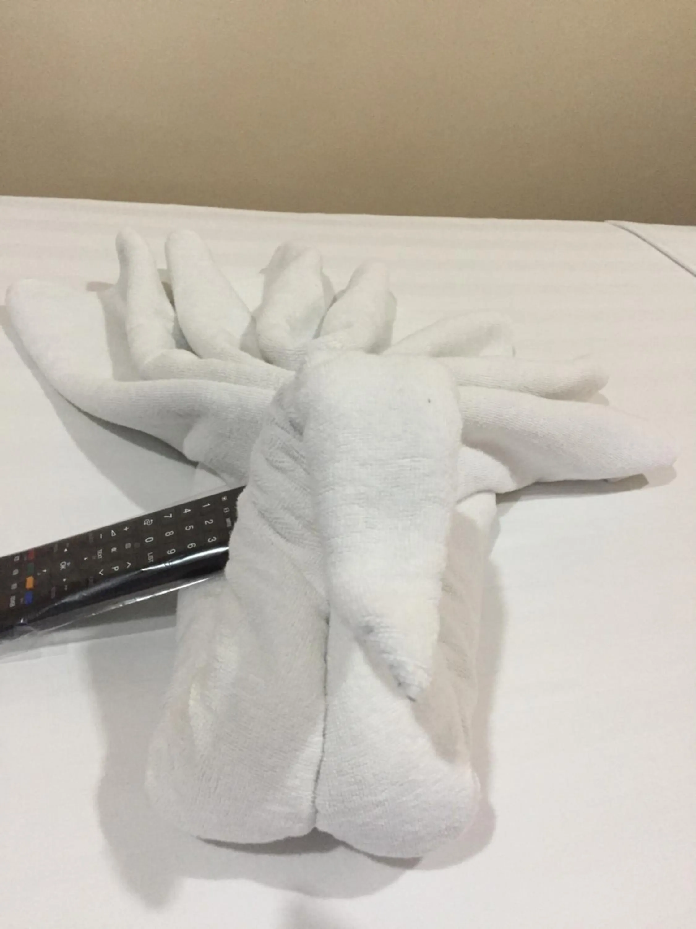 Dayview Tourist Home