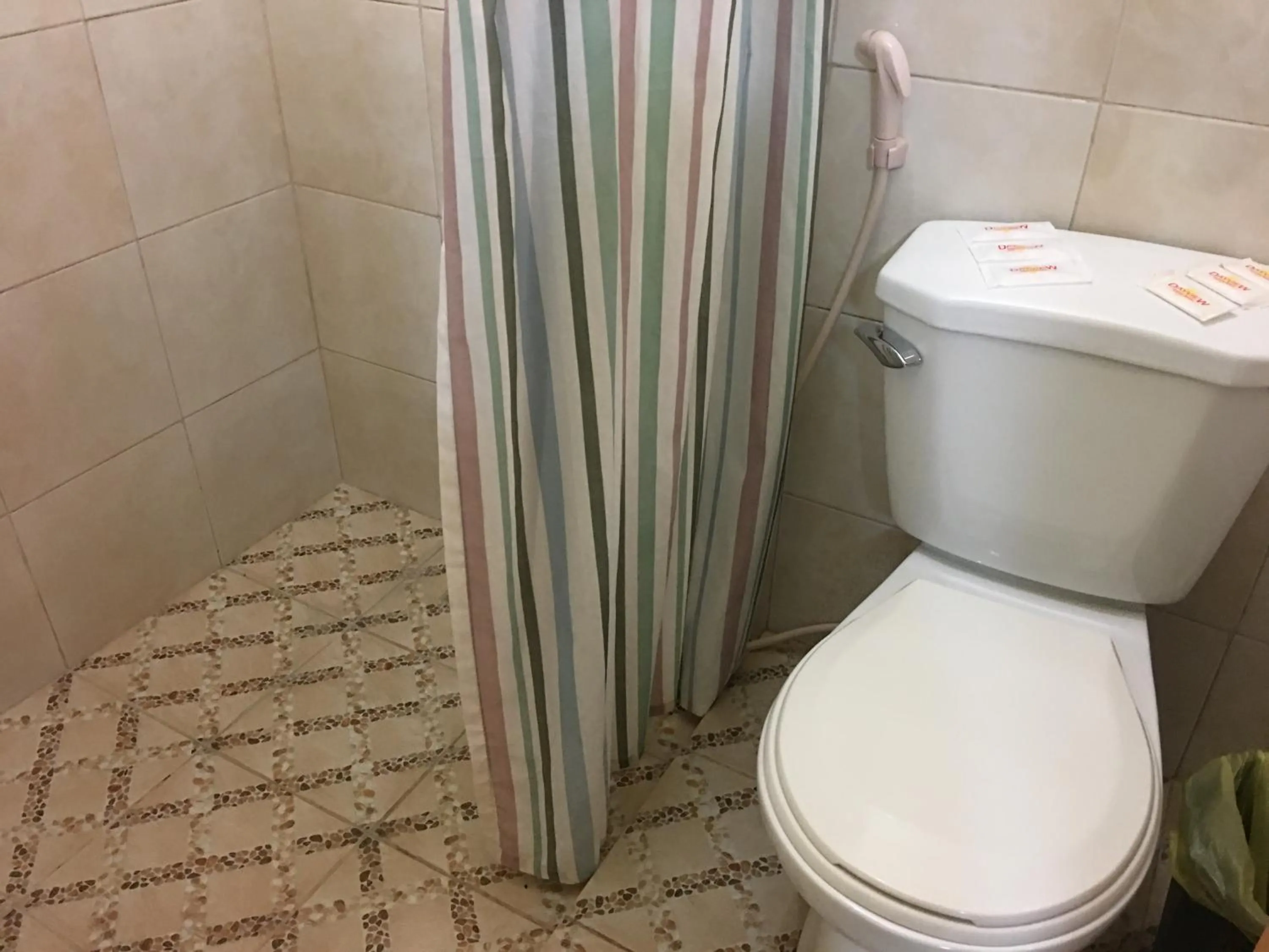 Shower in Dayview Tourist Home