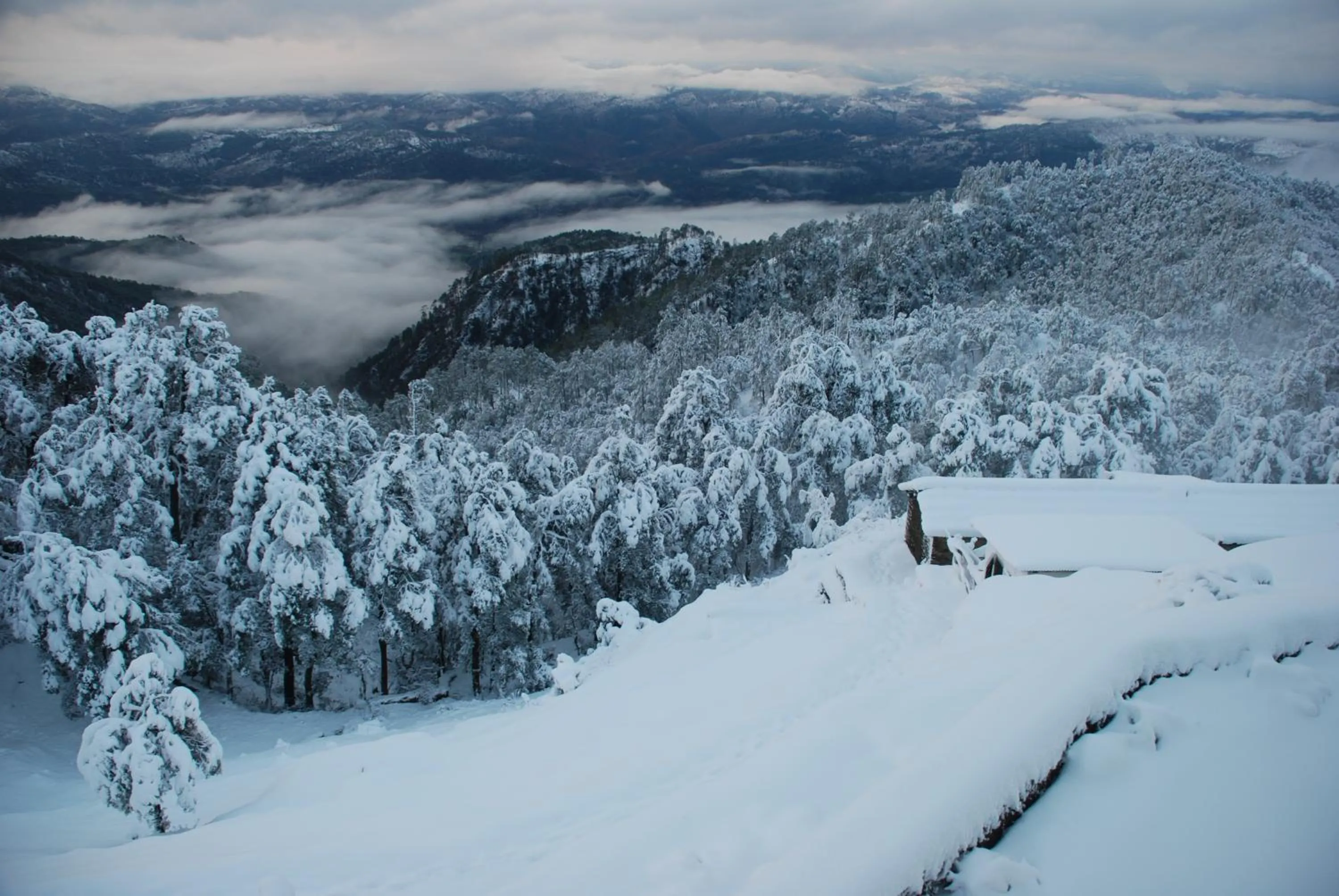 Mountain view in Tree of Life Grand Oak Manor Binsar