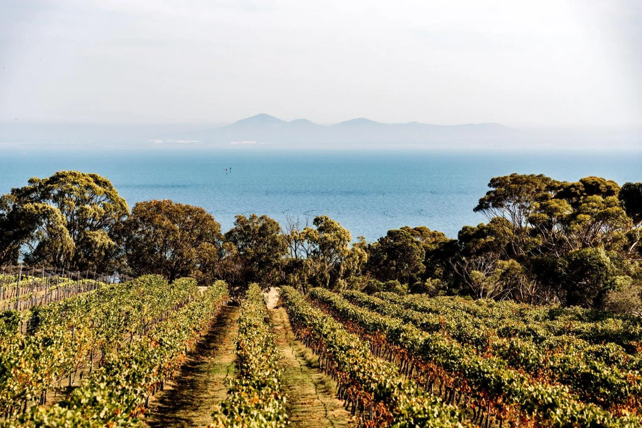 Nearby landmark in Crowne Plaza Geelong by IHG