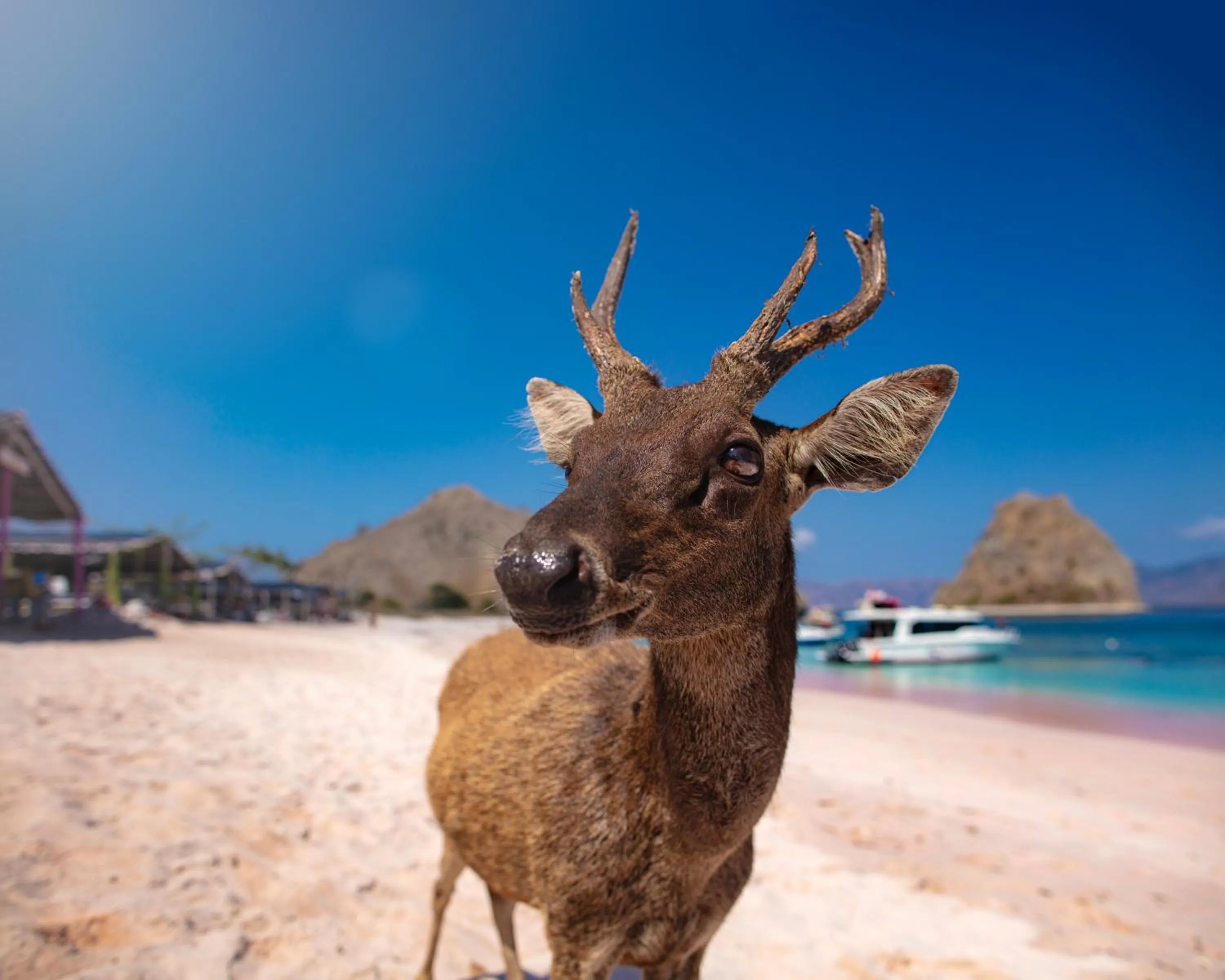 Nearby landmark in Crowne Plaza Labuan Bajo by IHG