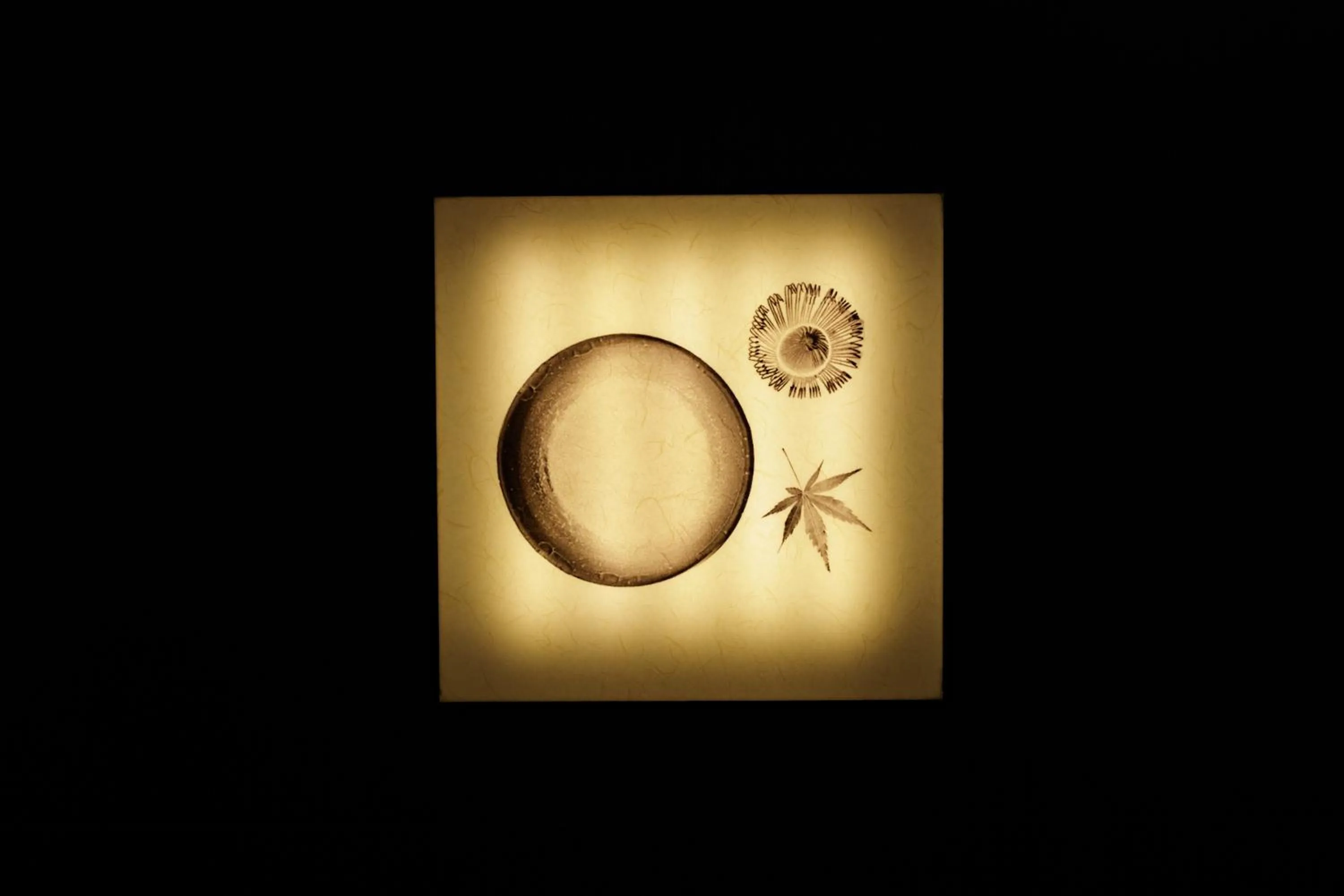 Other in HOTEL AMANEK Osaka Namba