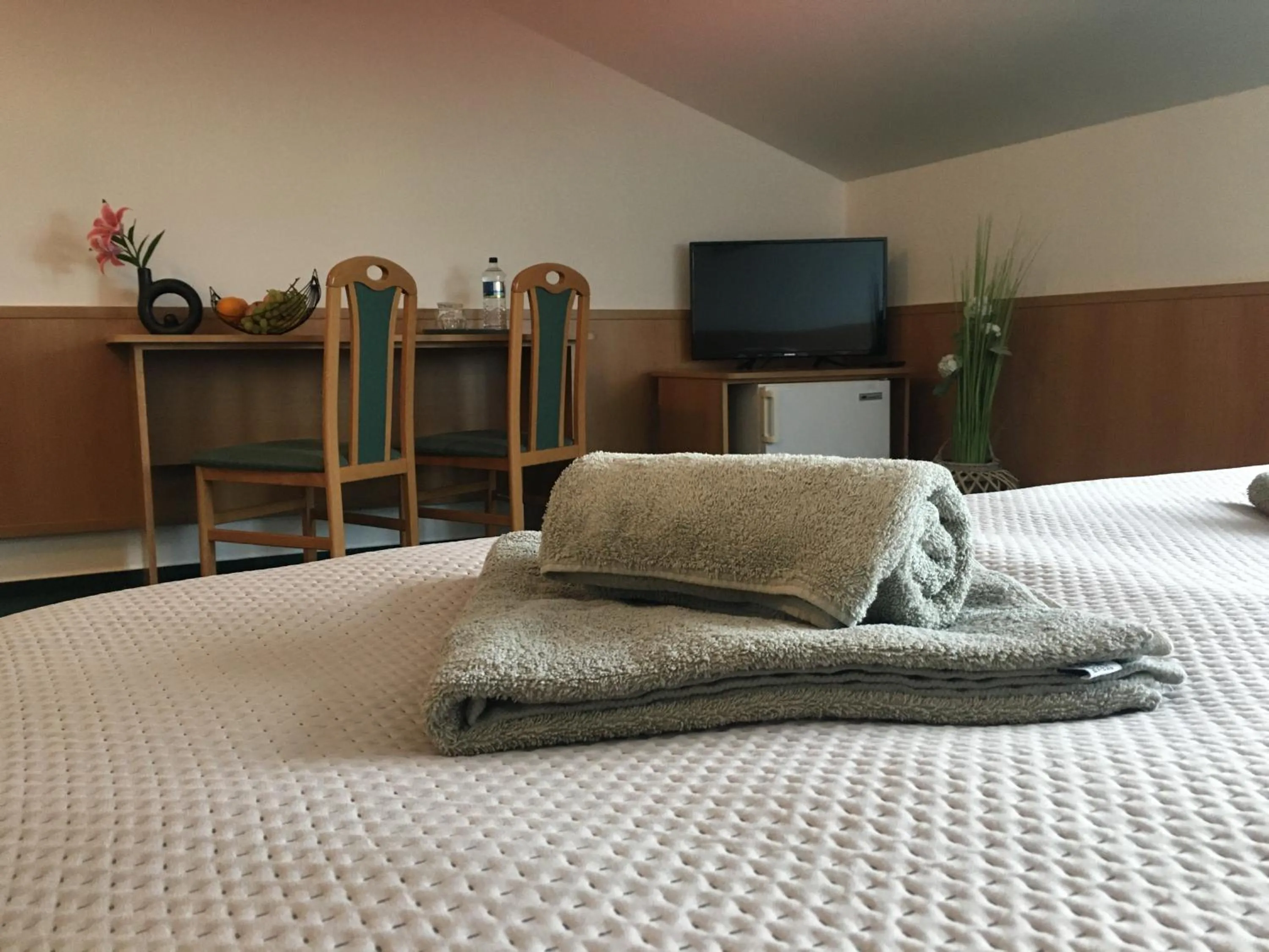 TV and multimedia, Bed in Ubytovanie KRAS