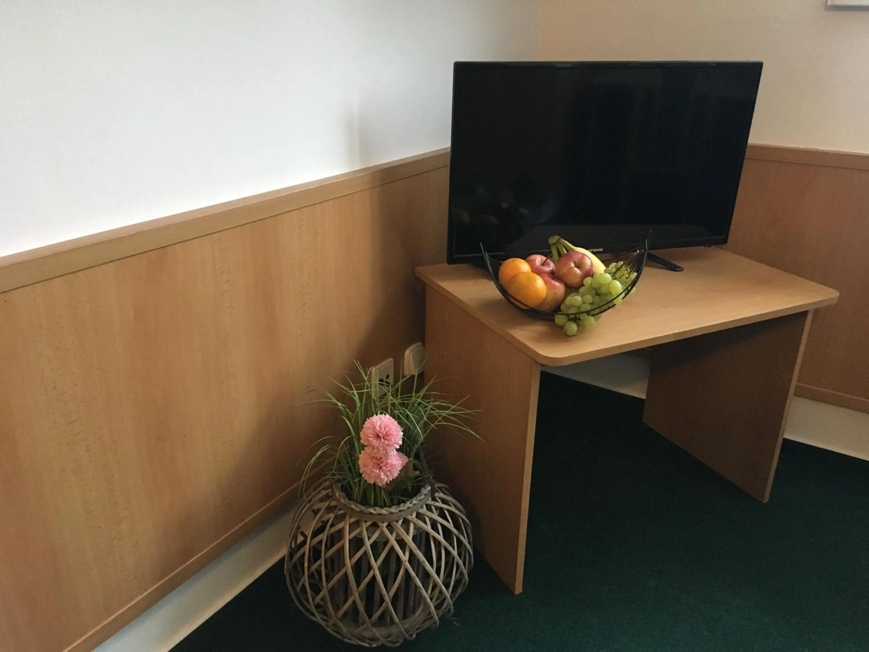 TV and multimedia in Ubytovanie KRAS