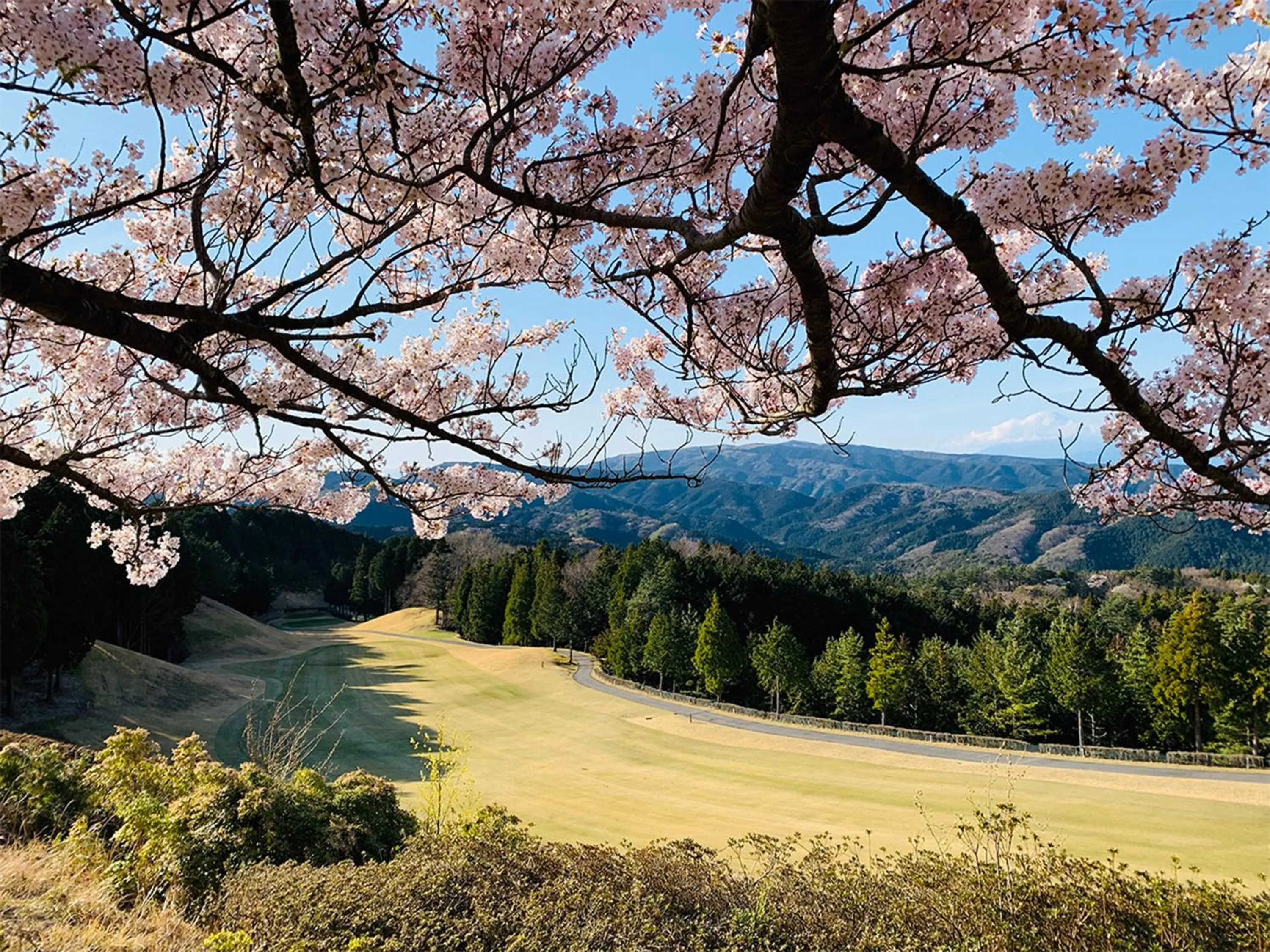 Golfcourse in Yugashima Golf Club & Hotel Resort