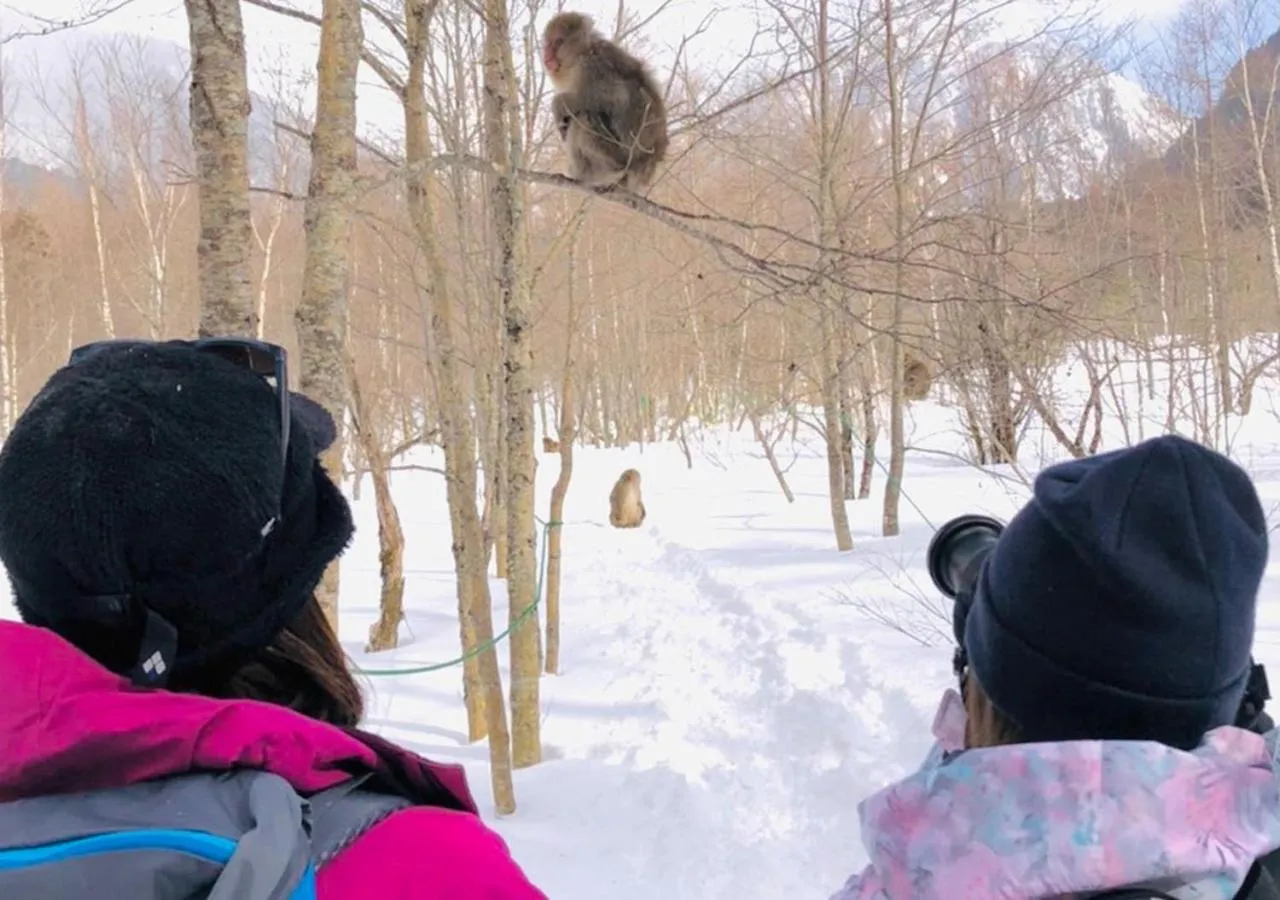 Nearby landmark in 筋肉と自然と遊ぶ宿 田島館