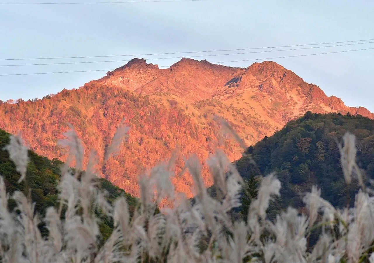 Day in 筋肉と自然と遊ぶ宿 田島館