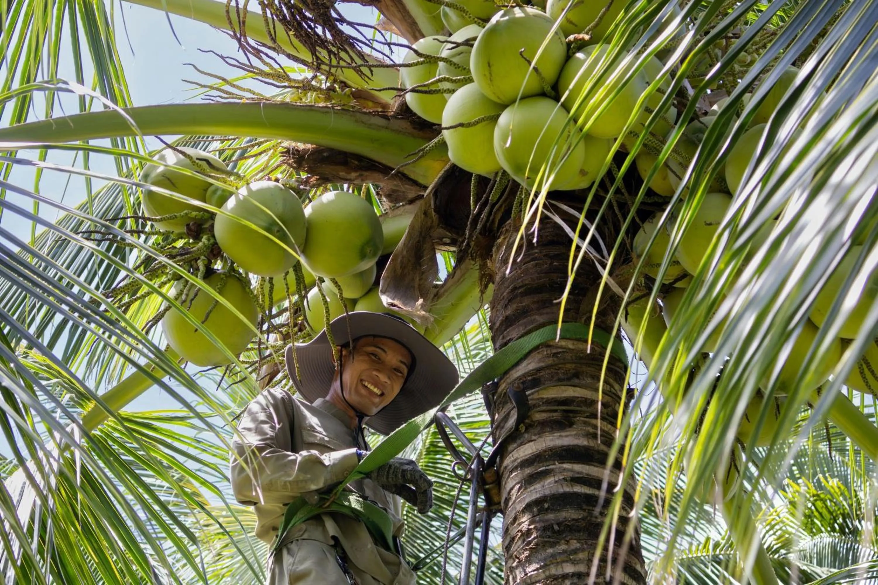 Other in Sheraton Phu Quoc Long Beach Resort