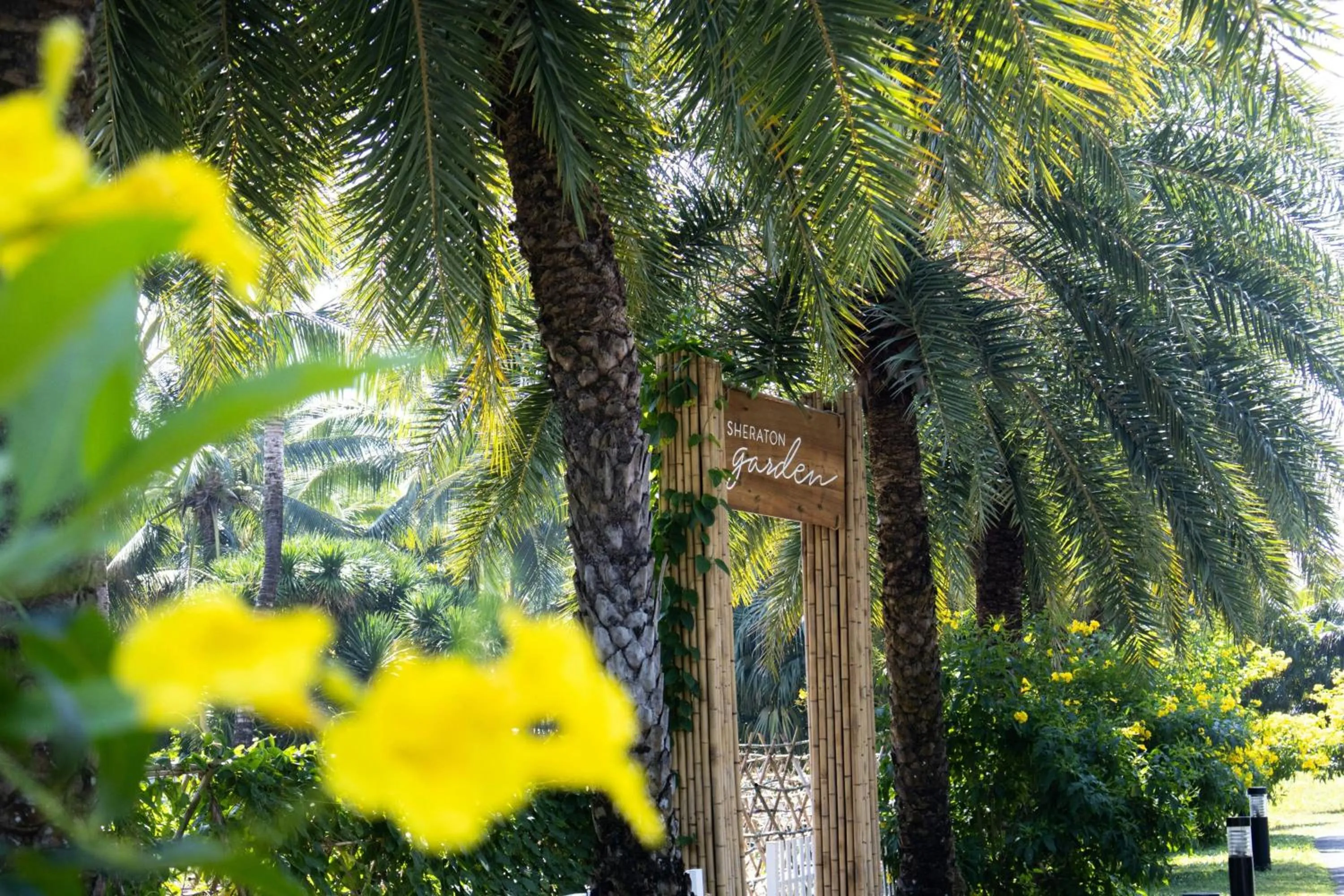 Other in Sheraton Phu Quoc Long Beach Resort