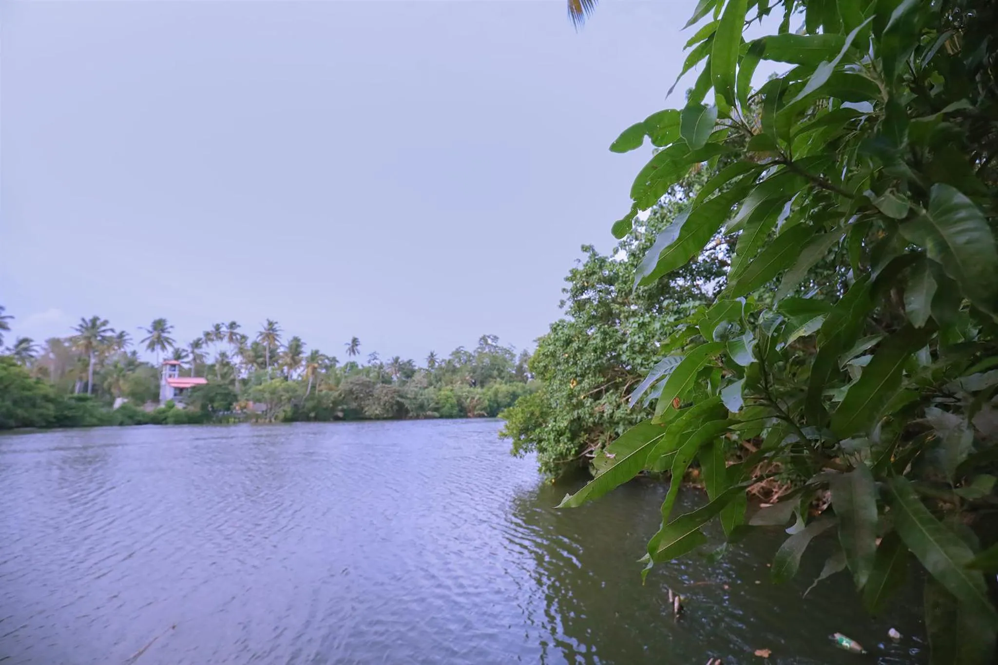 River view in Tinara River Inn, Weligama