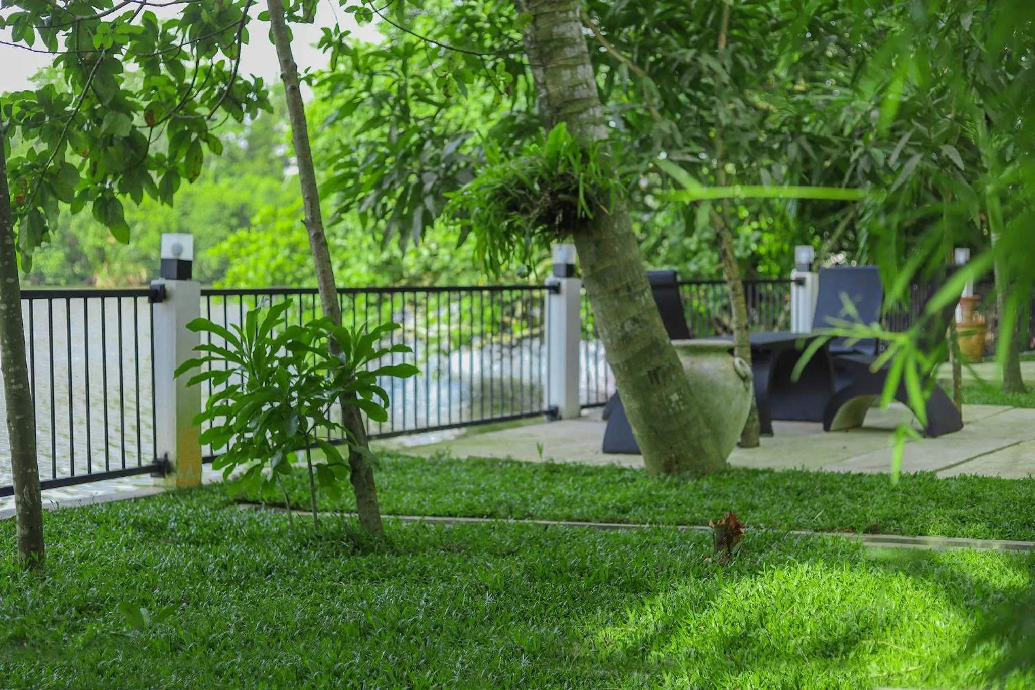 Garden view in Tinara River Inn, Weligama