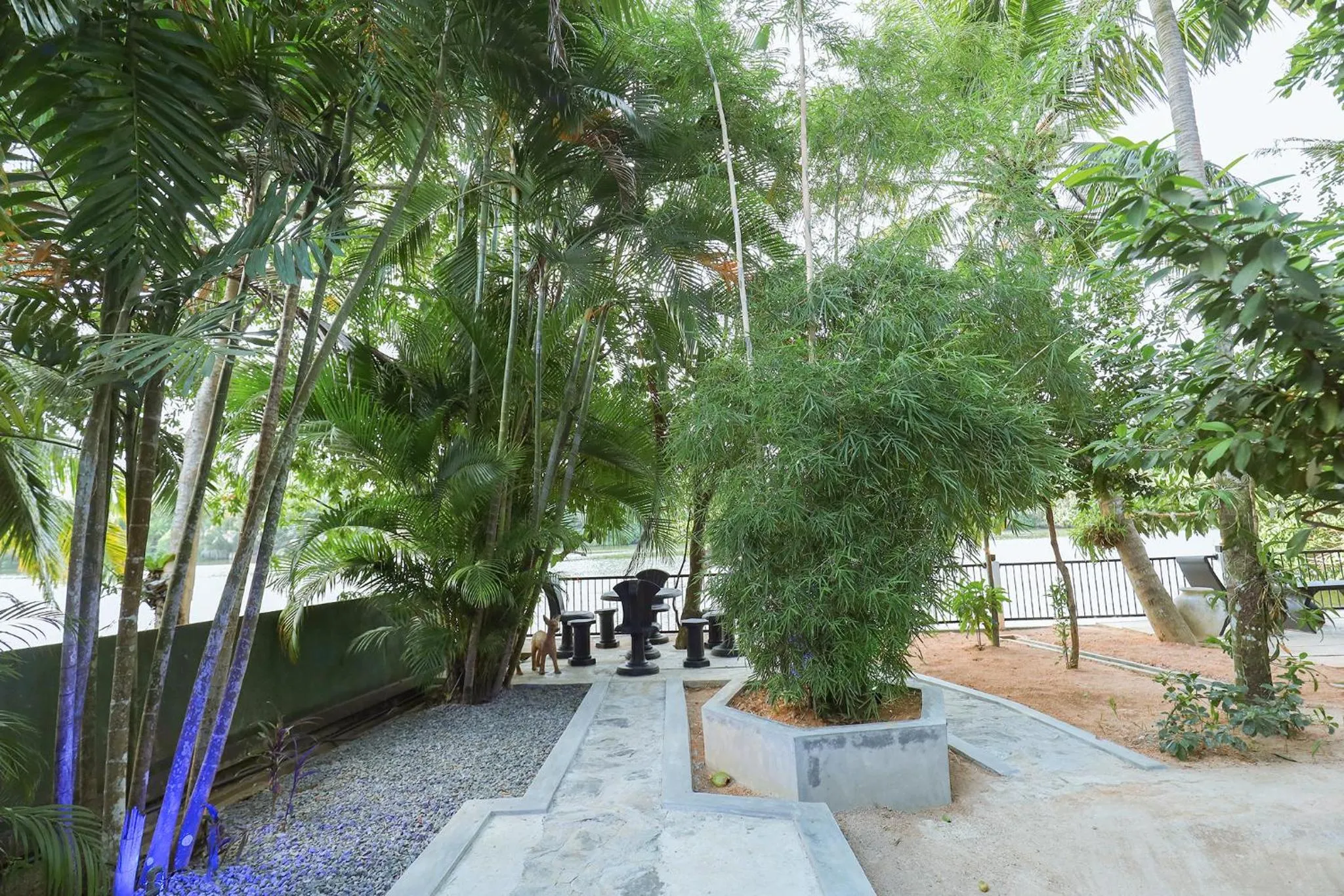 Garden in Tinara River Inn, Weligama