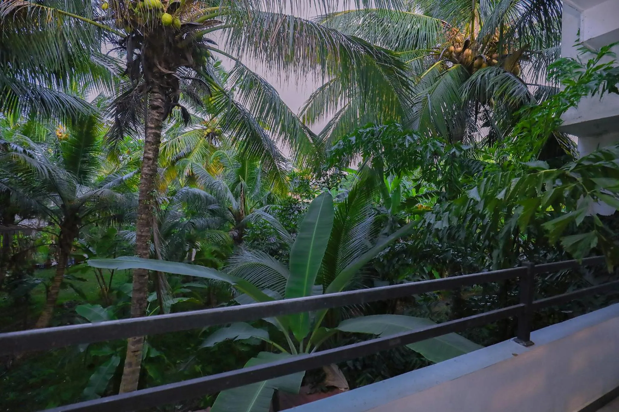 Garden view in Tinara River Inn, Weligama