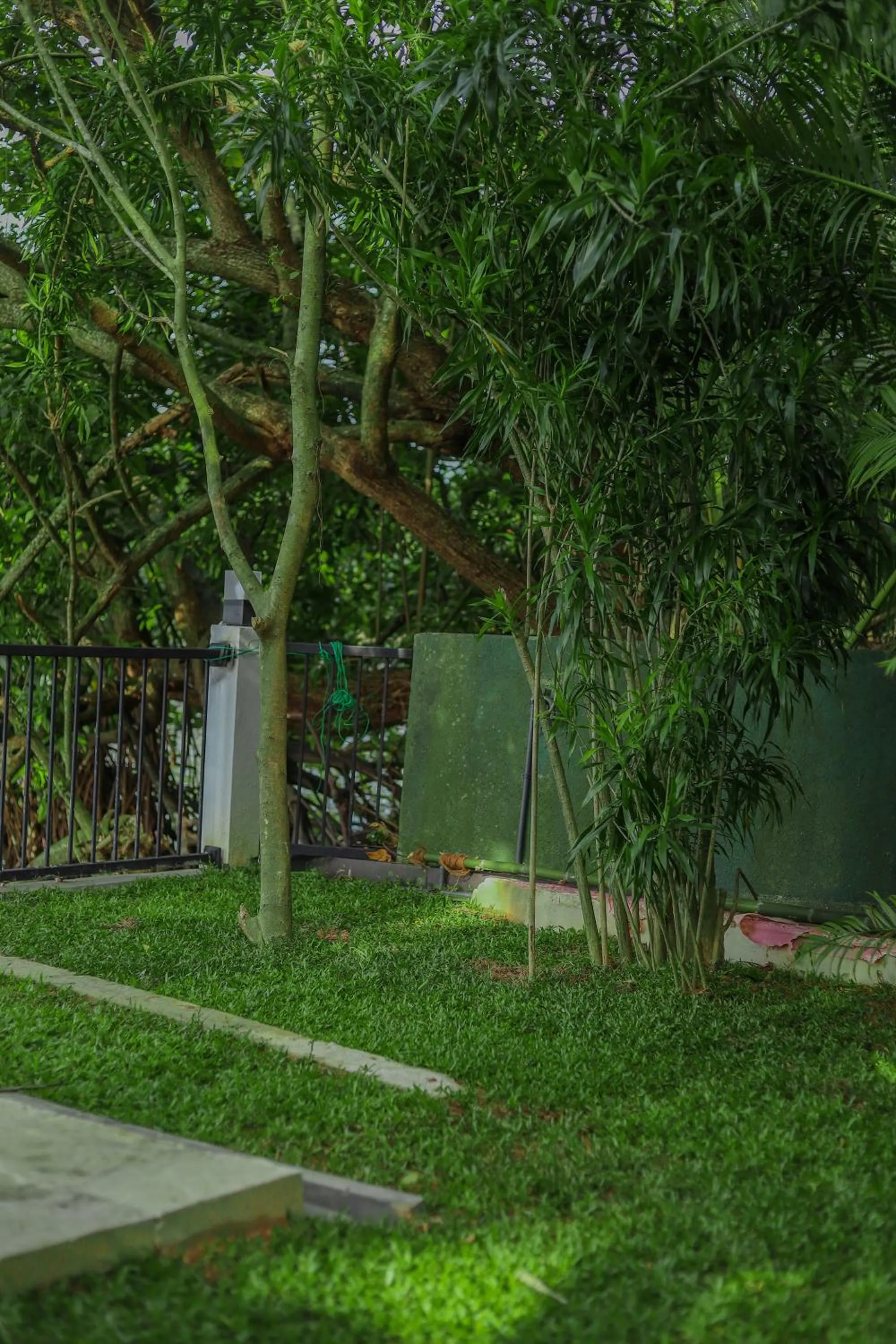 Garden view in Tinara River Inn, Weligama