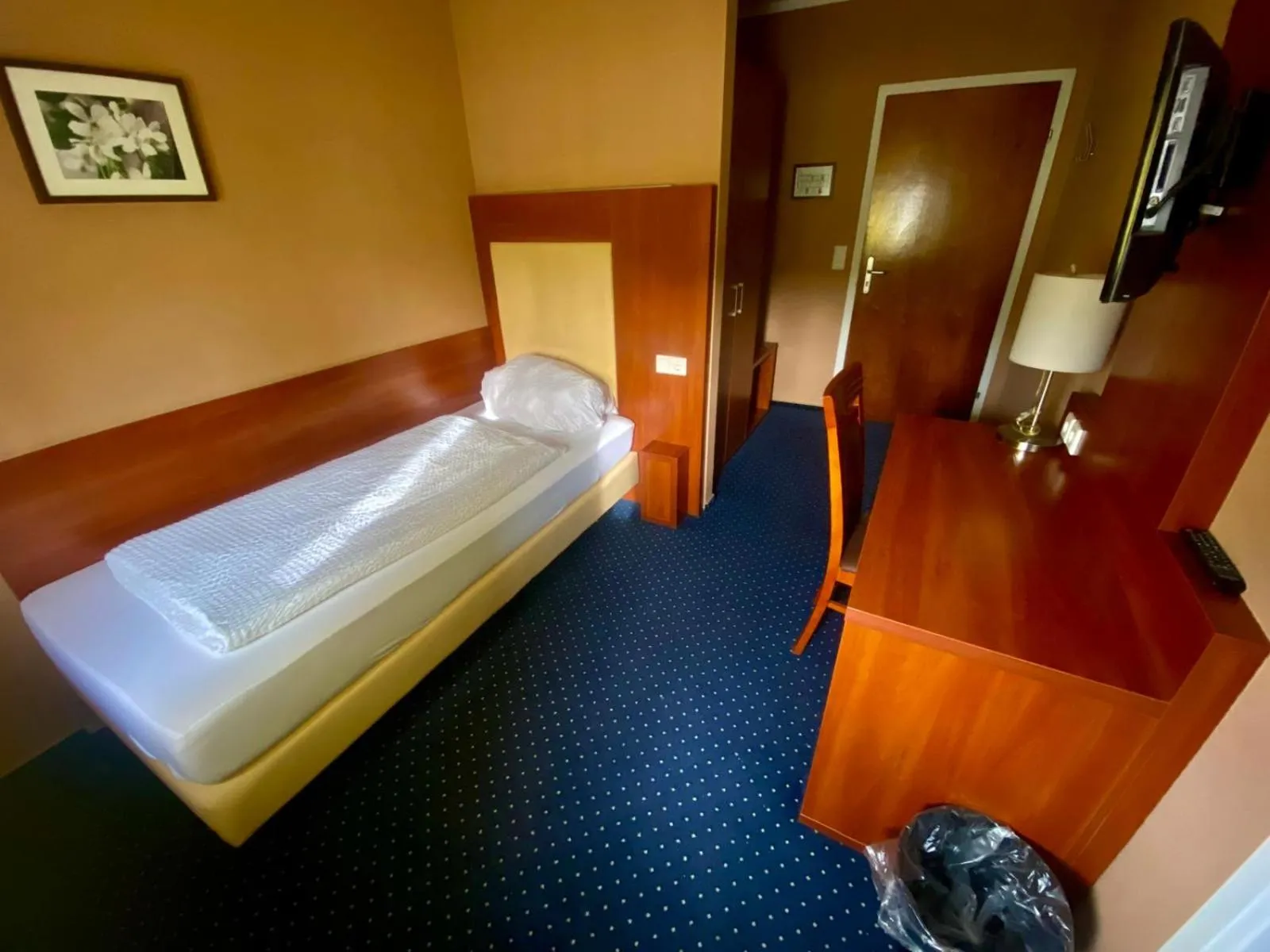Budget Single Room in Hotel Wahlster