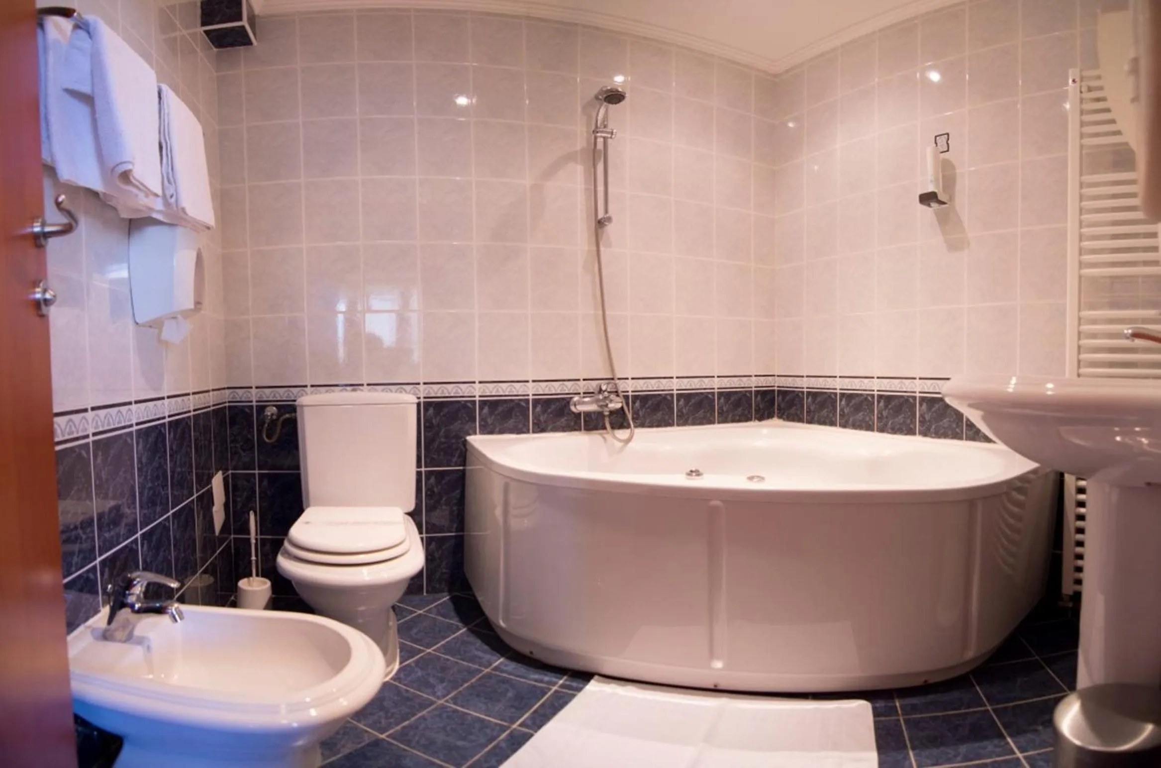 Photo of the whole room in Hotel Ana