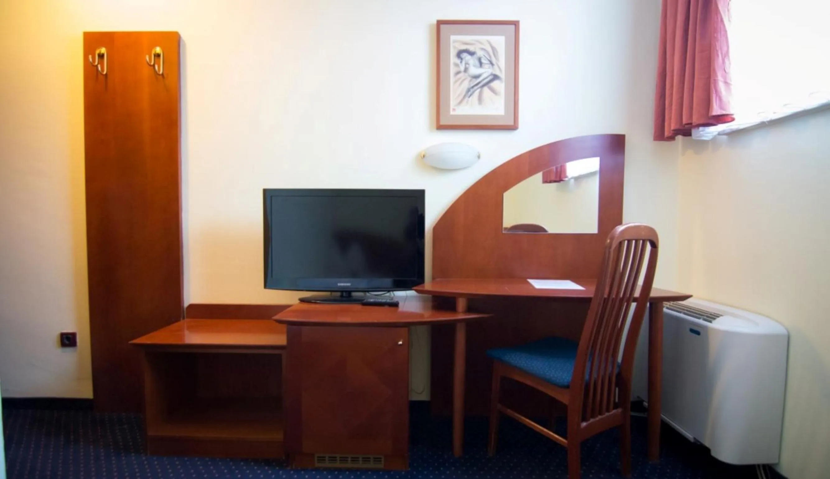 Photo of the whole room in Hotel Ana