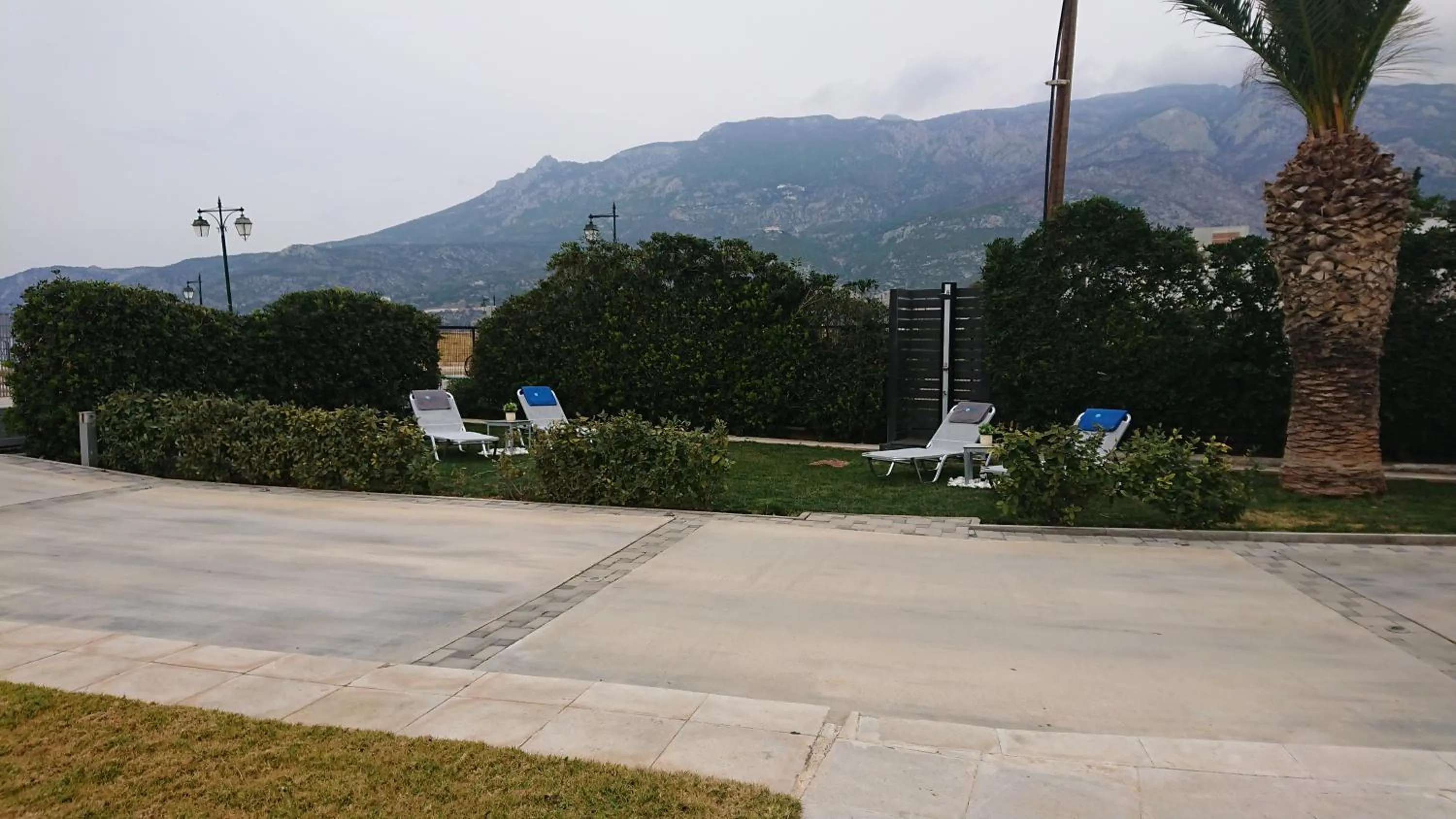 Garden in Diolkos Studios