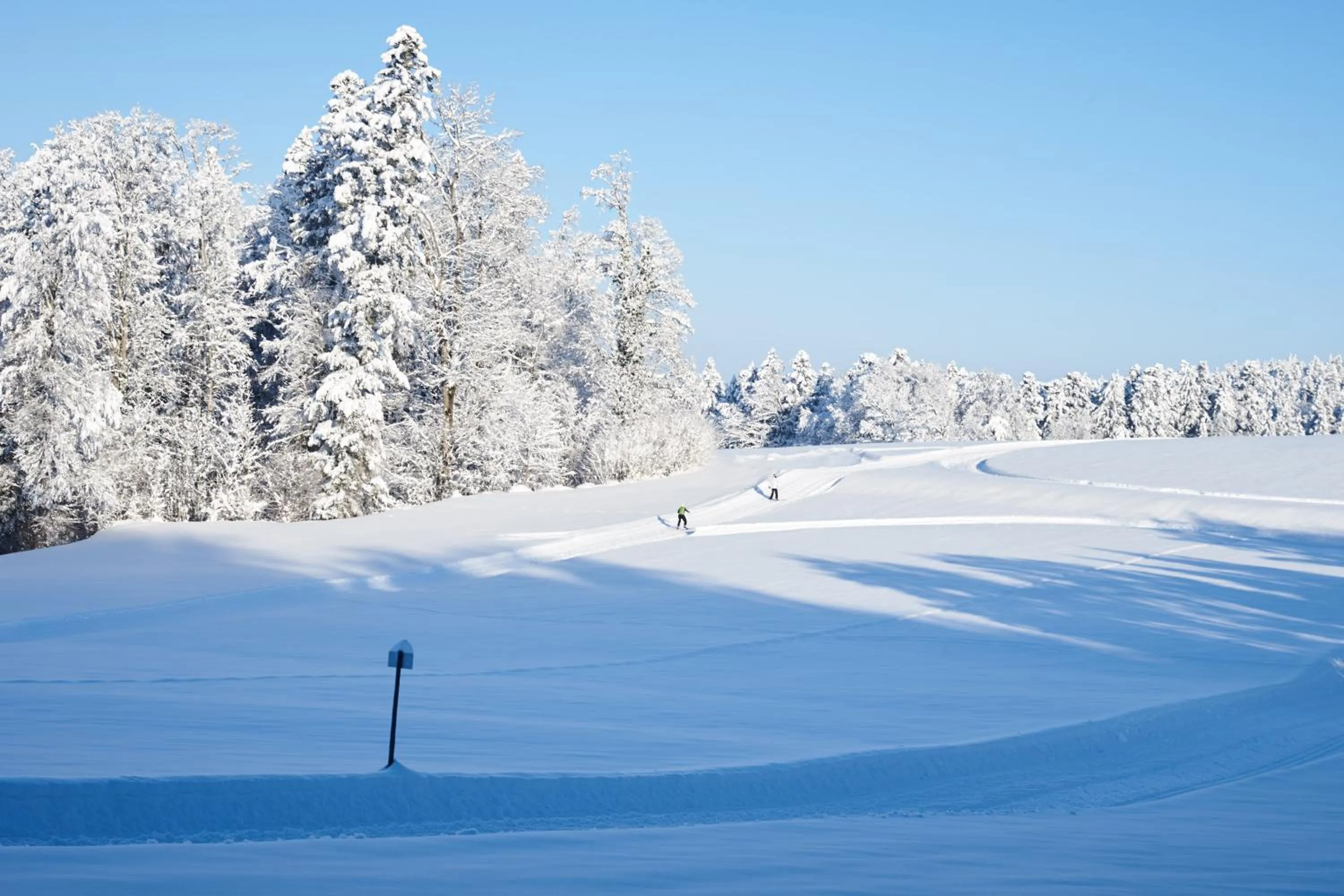 Hotel und Restaurant Wolfensberg