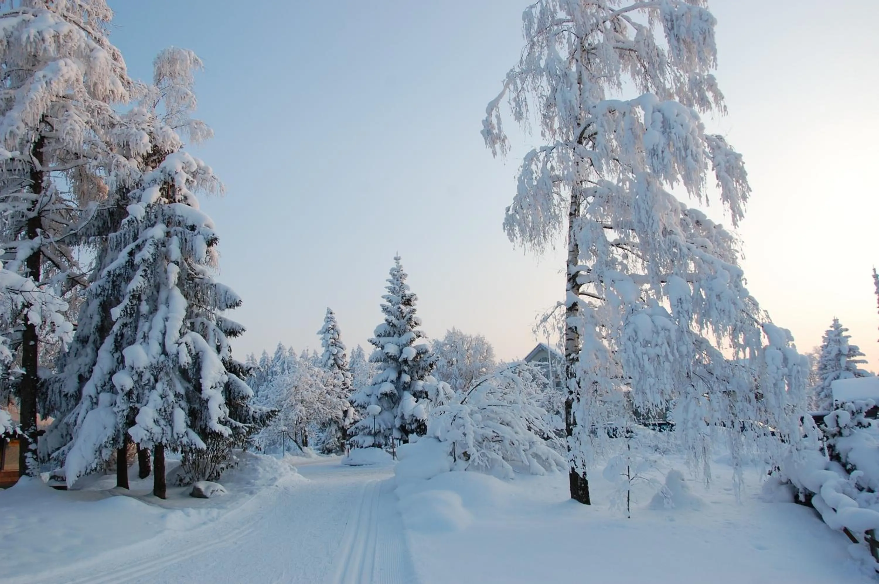 Natural landscape in Hotel und Restaurant Wolfensberg