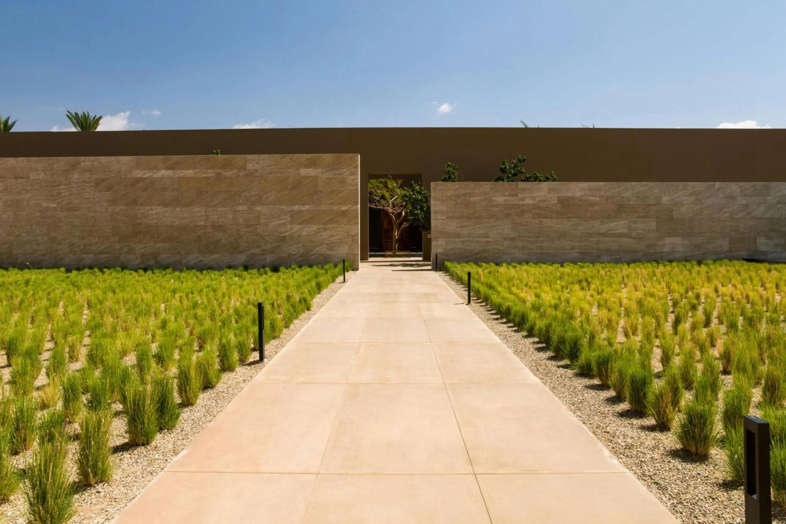 View (from property/room) in JW Marriott Los Cabos Beach Resort & Spa
