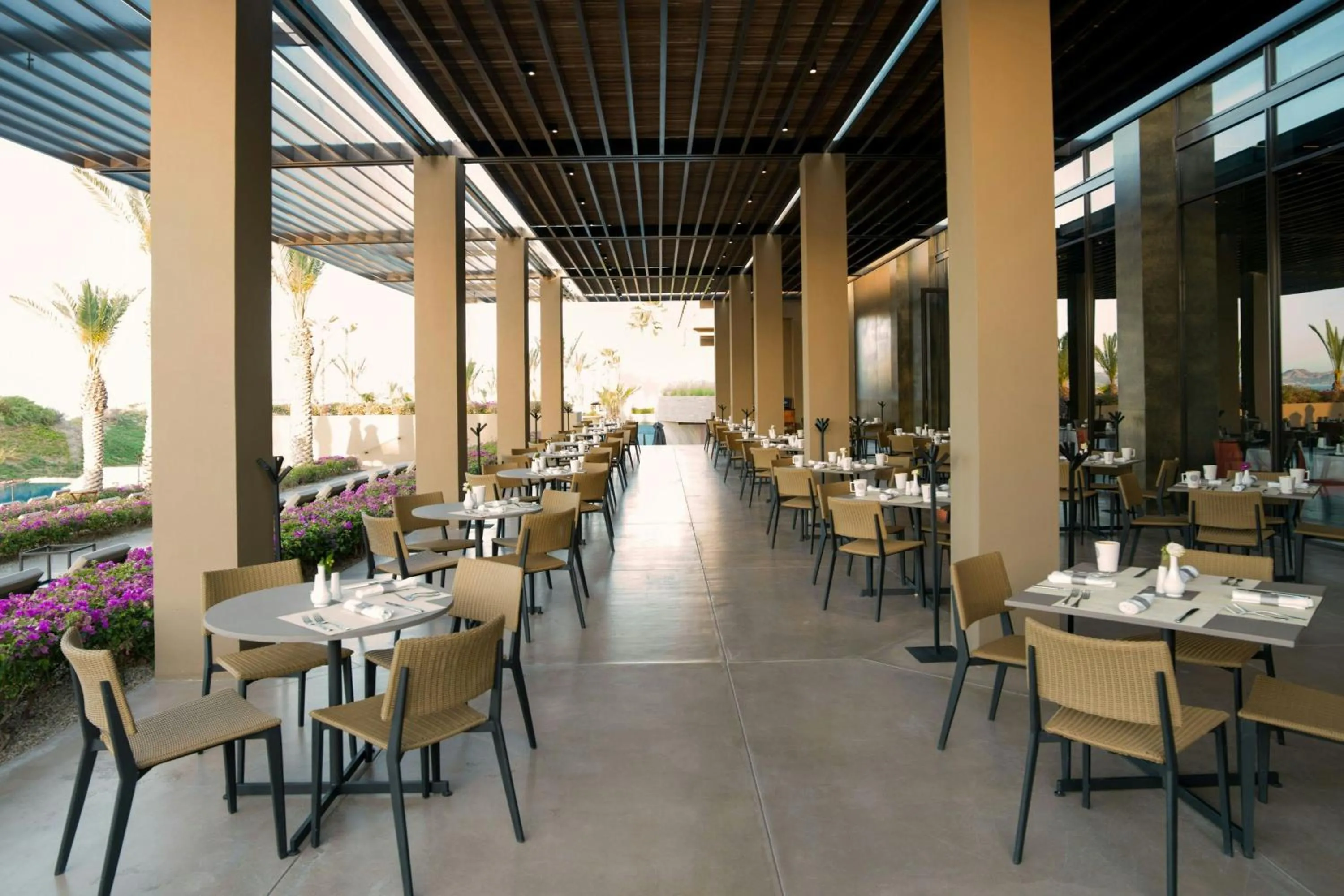 Restaurant/places to eat in JW Marriott Los Cabos Beach Resort & Spa