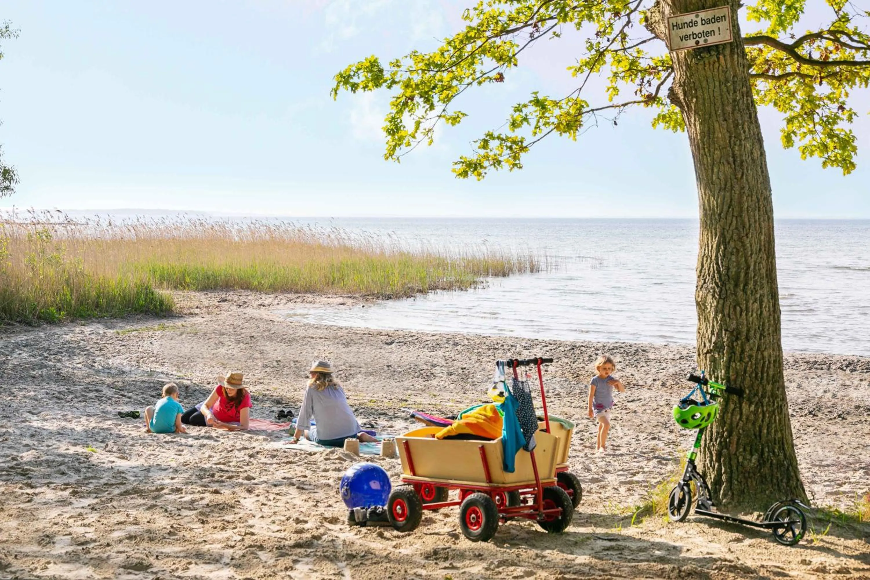 Spring in Müritzparadies - Feriendorf Alte Fahrt