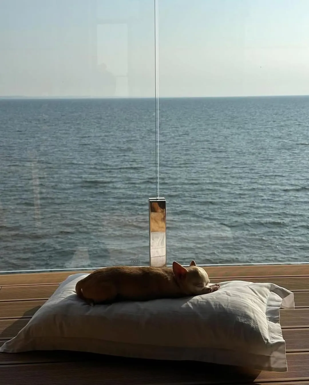 Day in M1 Club Hotel