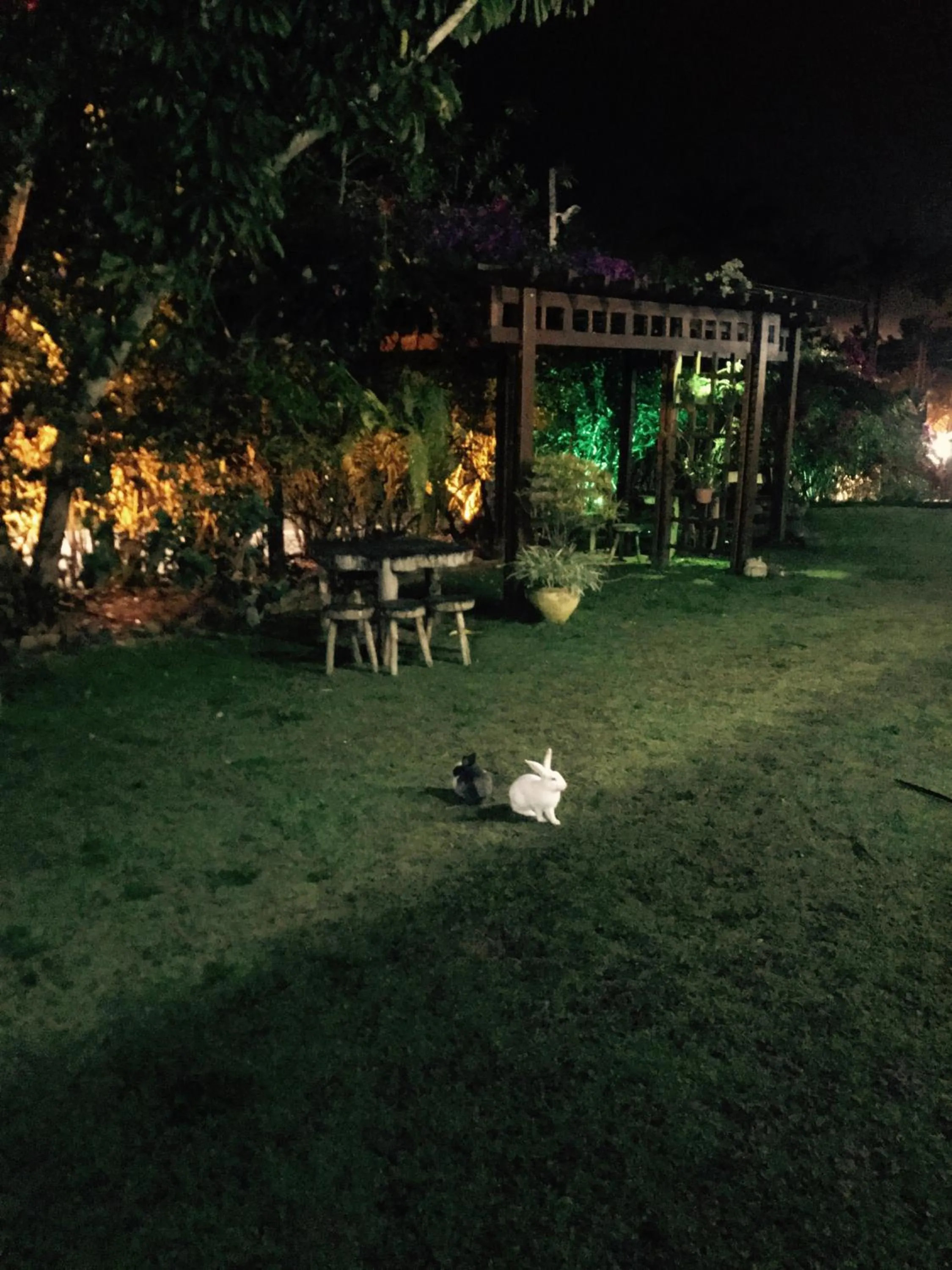 Garden in Pousada Gruta