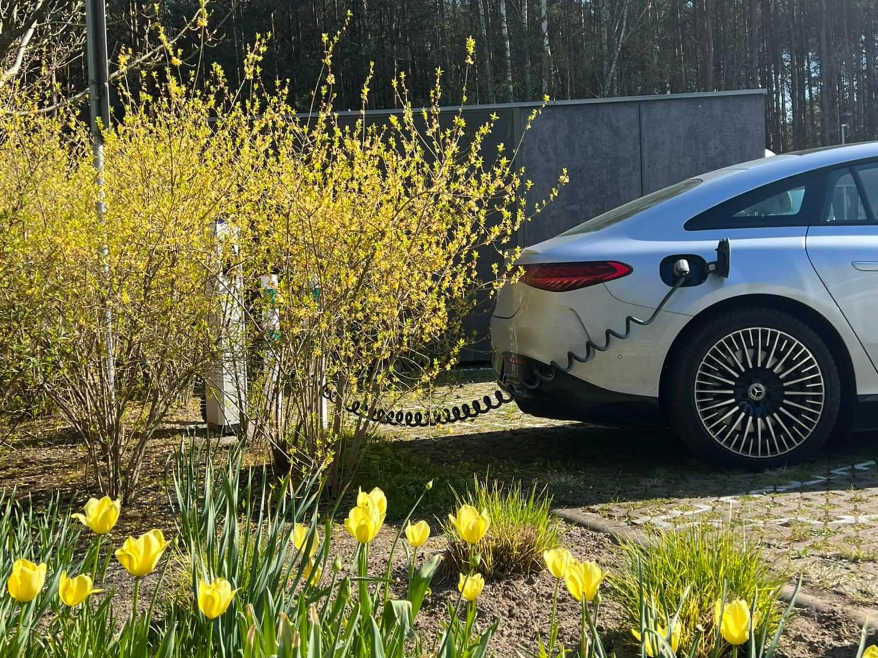 Parking in Rosevia Resort & Spa