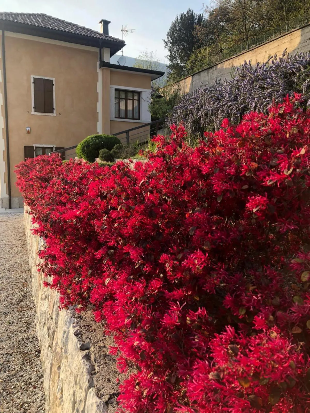 Garden in La Villa degli Orti