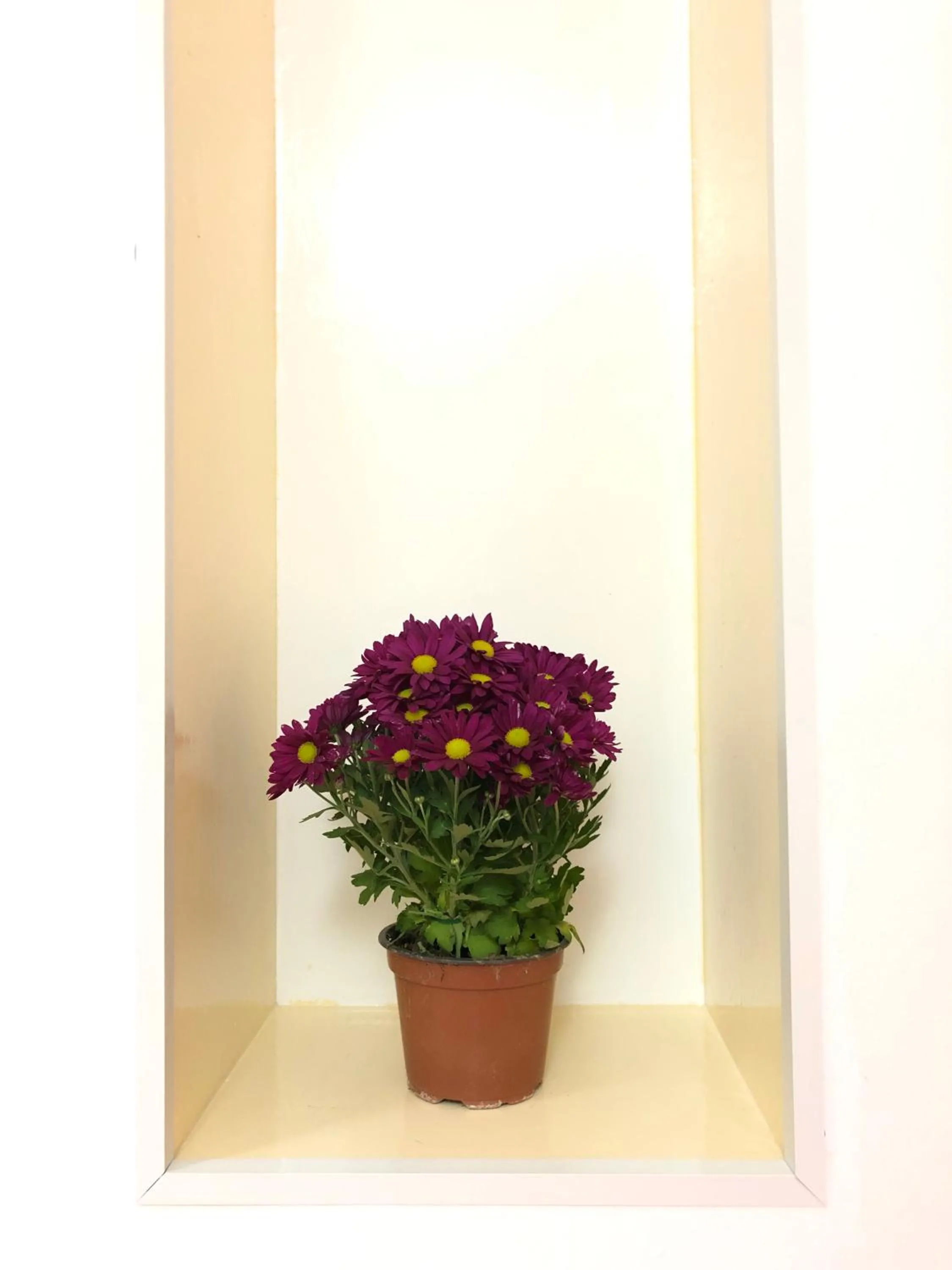 Decorative detail in Monterussi Bed and Breakfast