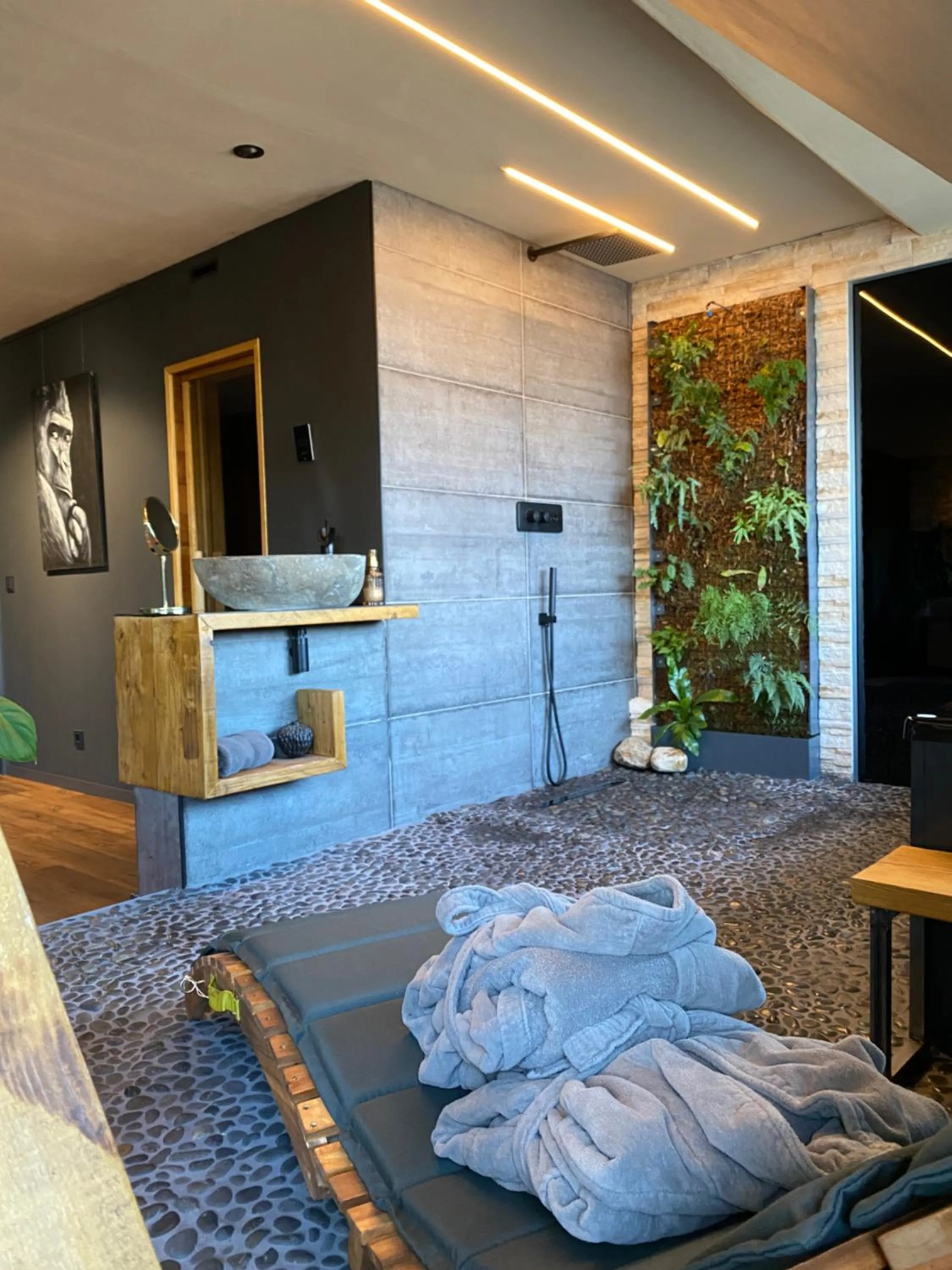 Shower in Wellness Suiten mit Whirlpool am Stadtrand von Essen