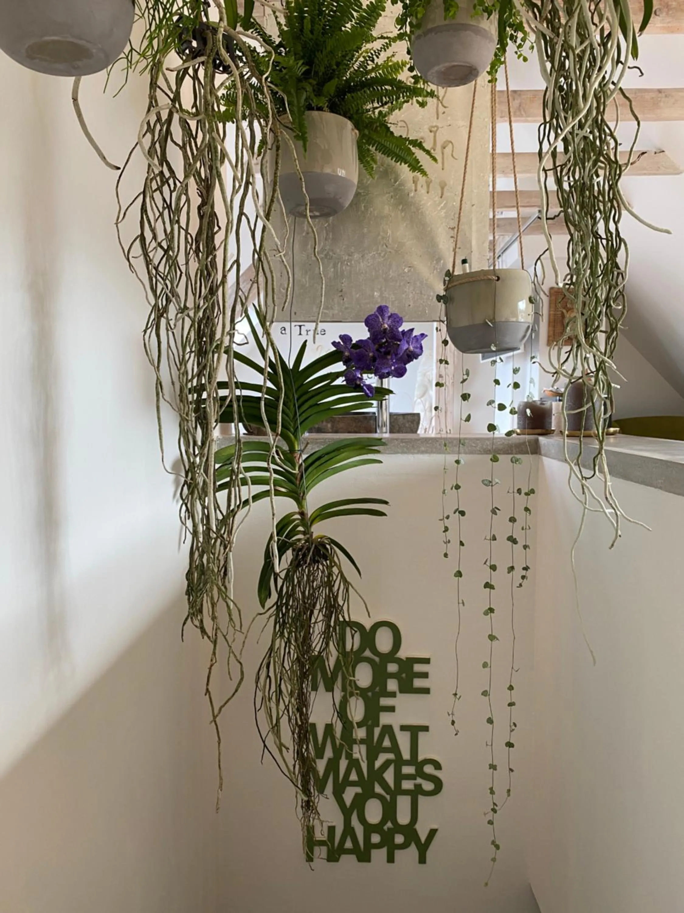 Decorative detail in Wellness Suiten mit Whirlpool am Stadtrand von Essen