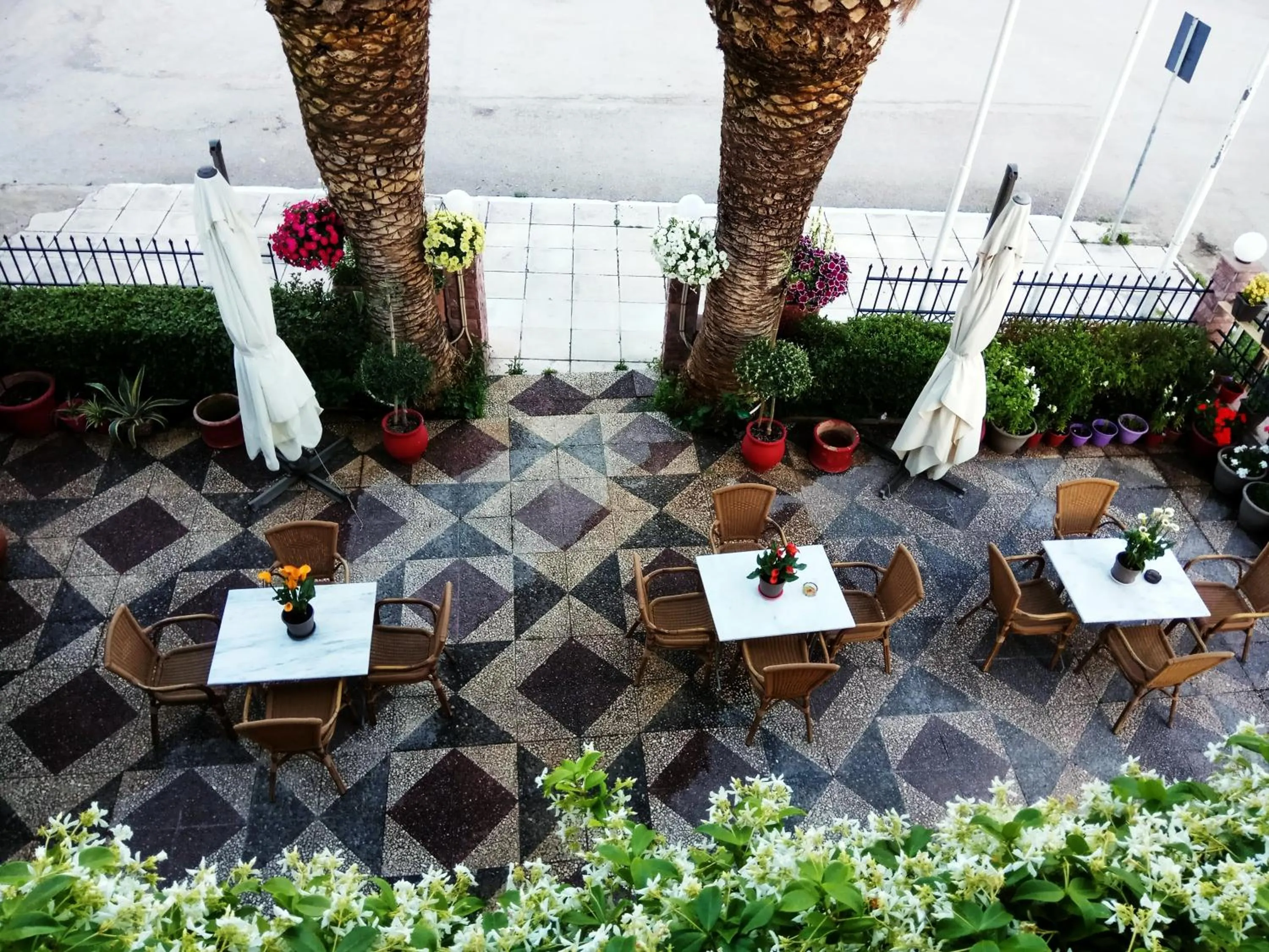 Garden in Hotel Akti