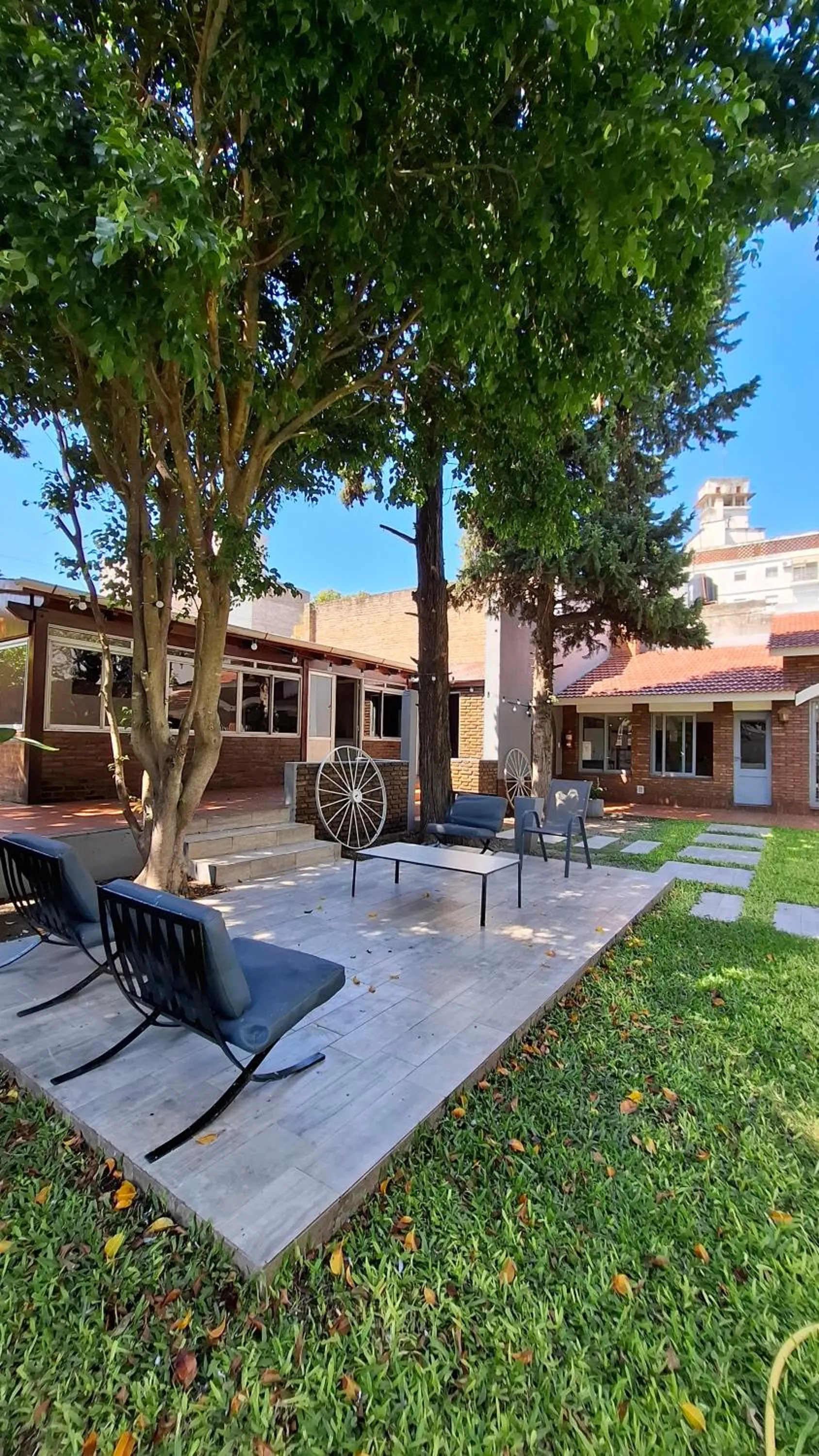 Garden in Hotel Mayoral