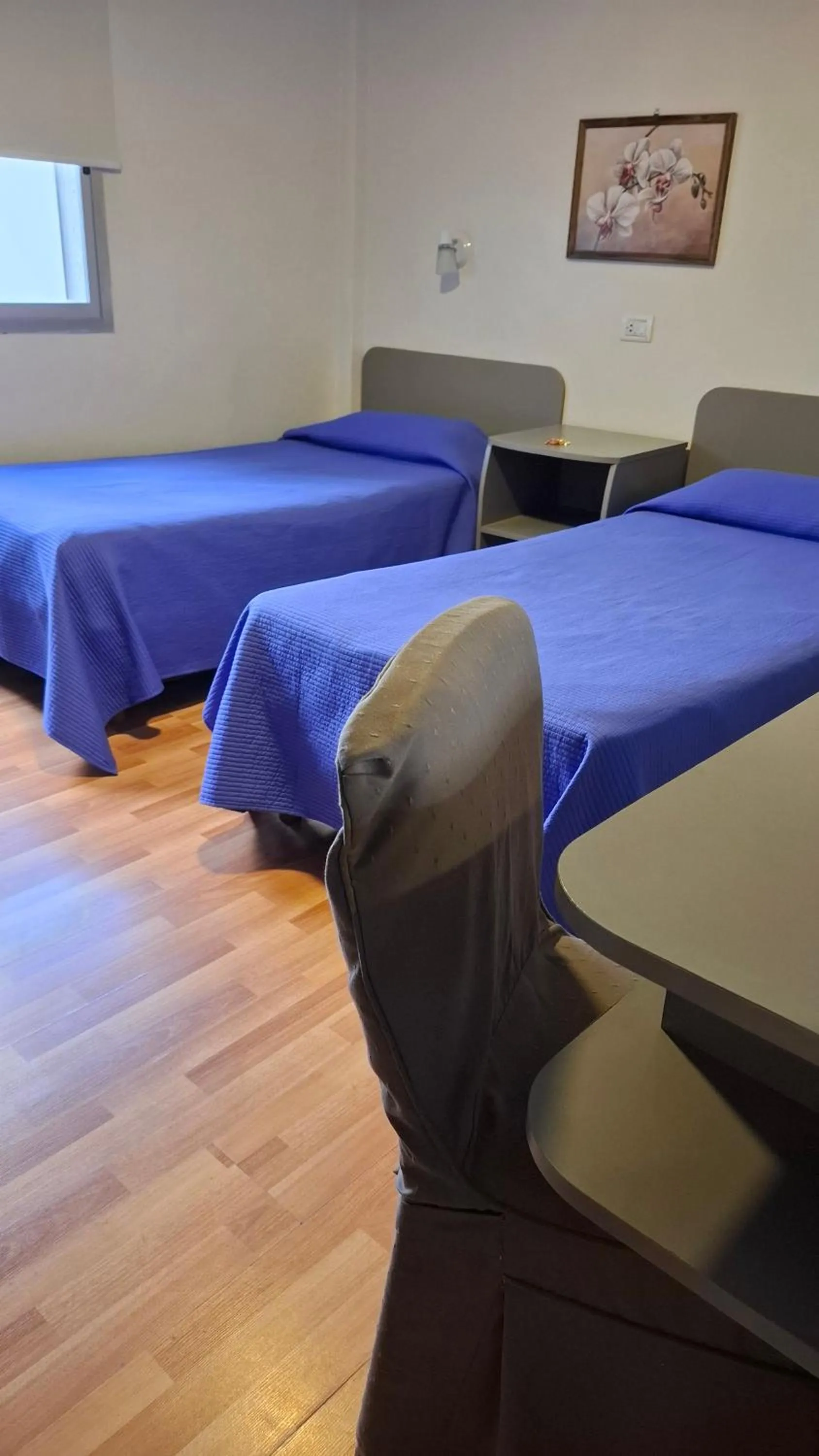 Other, Bed in Hotel Mayoral