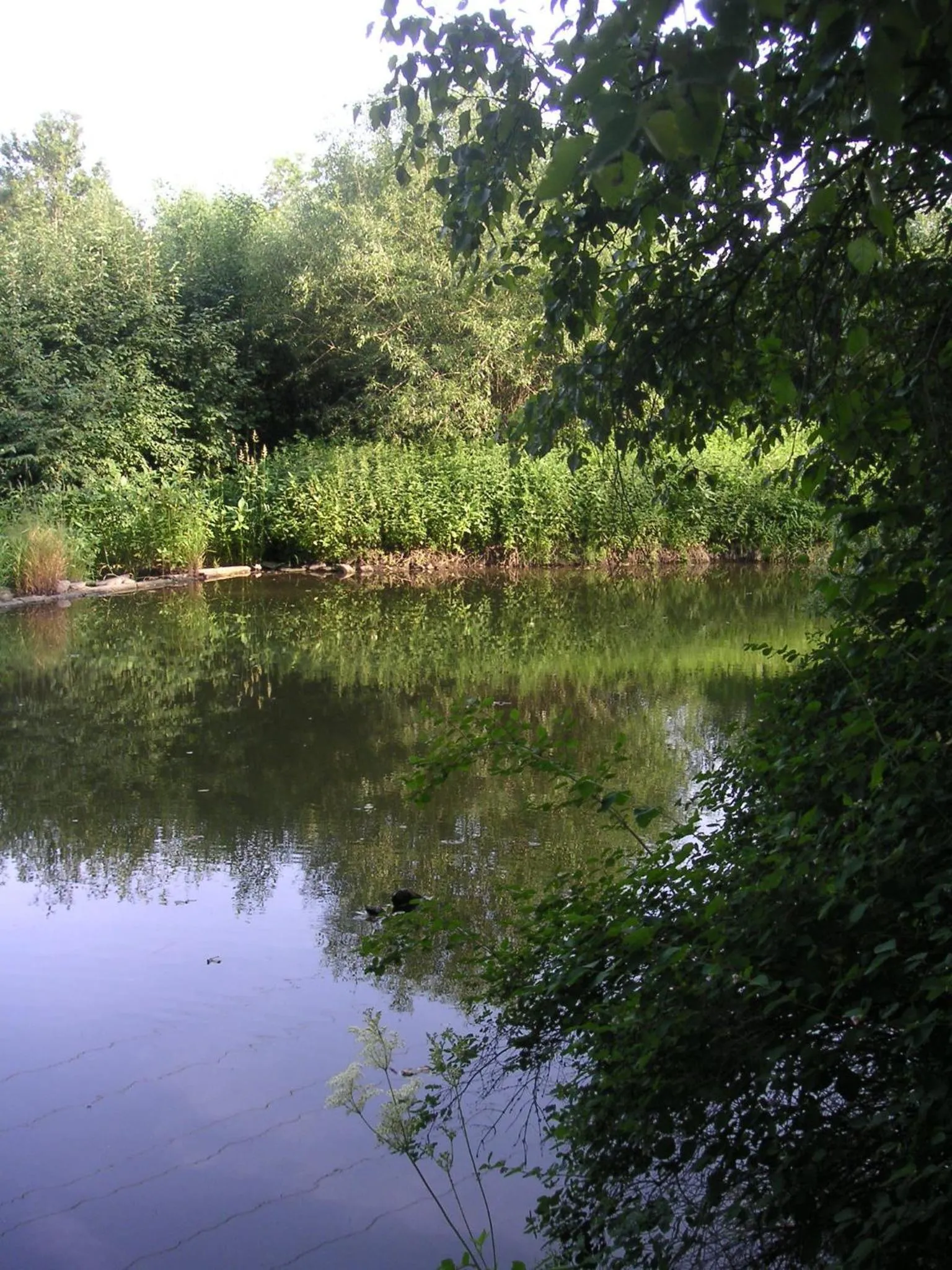 Natural landscape in Hammerschloss Unterklingensporn