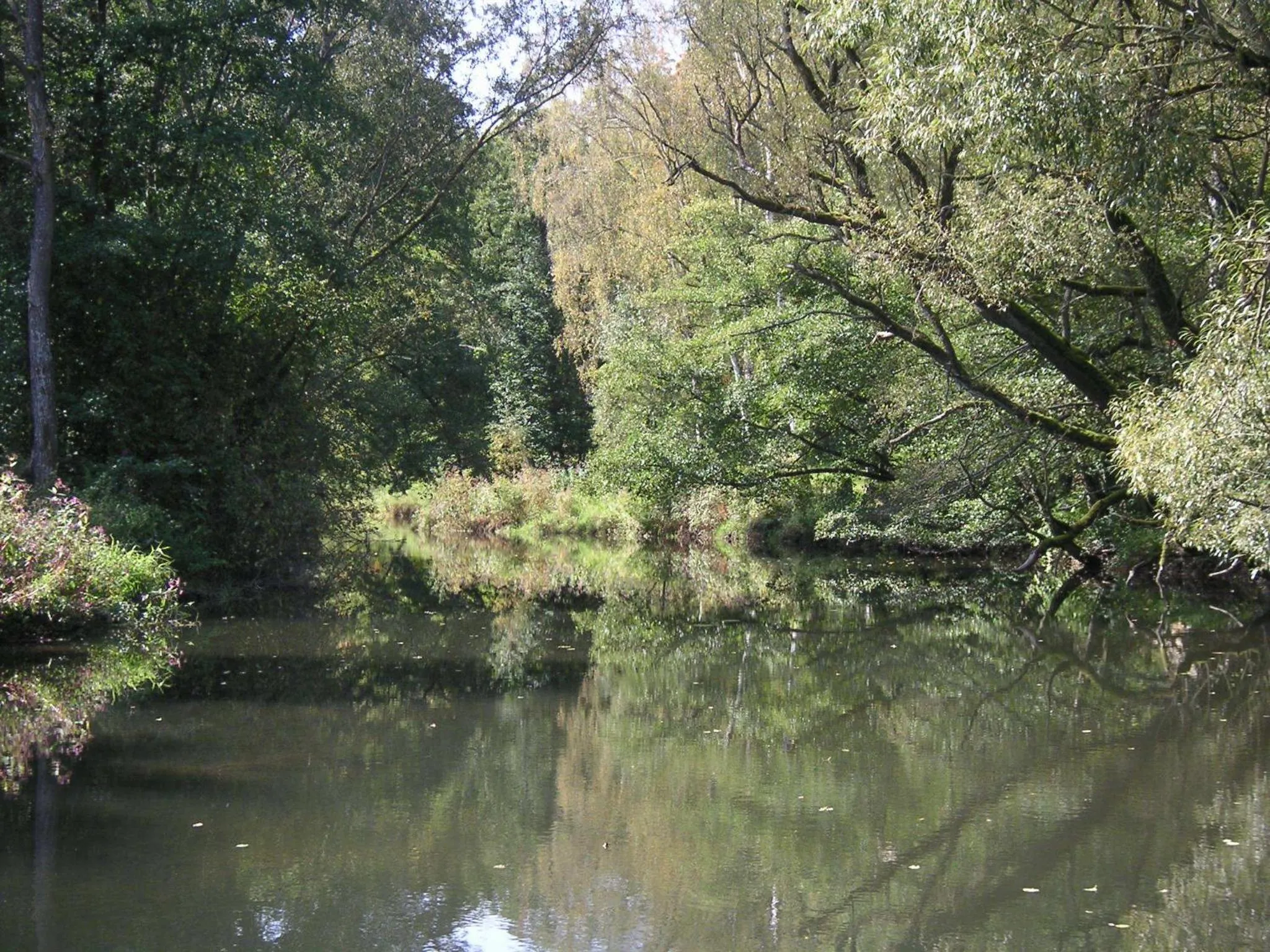 Natural landscape in Hammerschloss Unterklingensporn